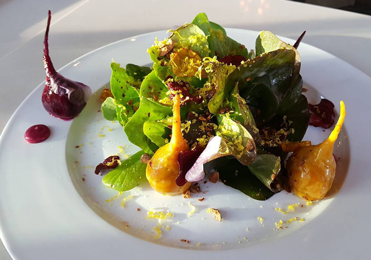  Sacramento Real Estate