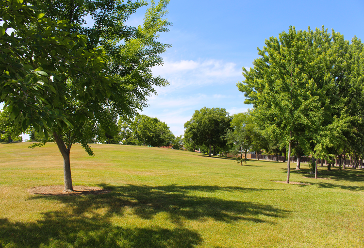 The 10 Most Affordable Neighborhoods (And Desirable!) In and Around