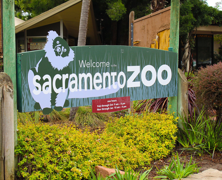  Sacramento Real Estate