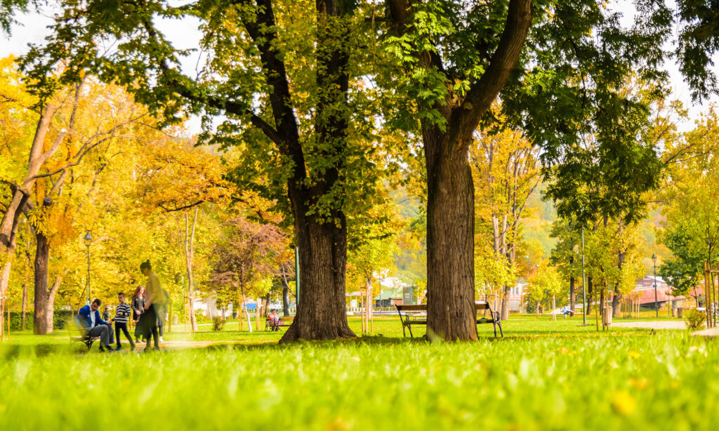 The Best Things to Do in the Towns of Diamond Springs and El Dorado