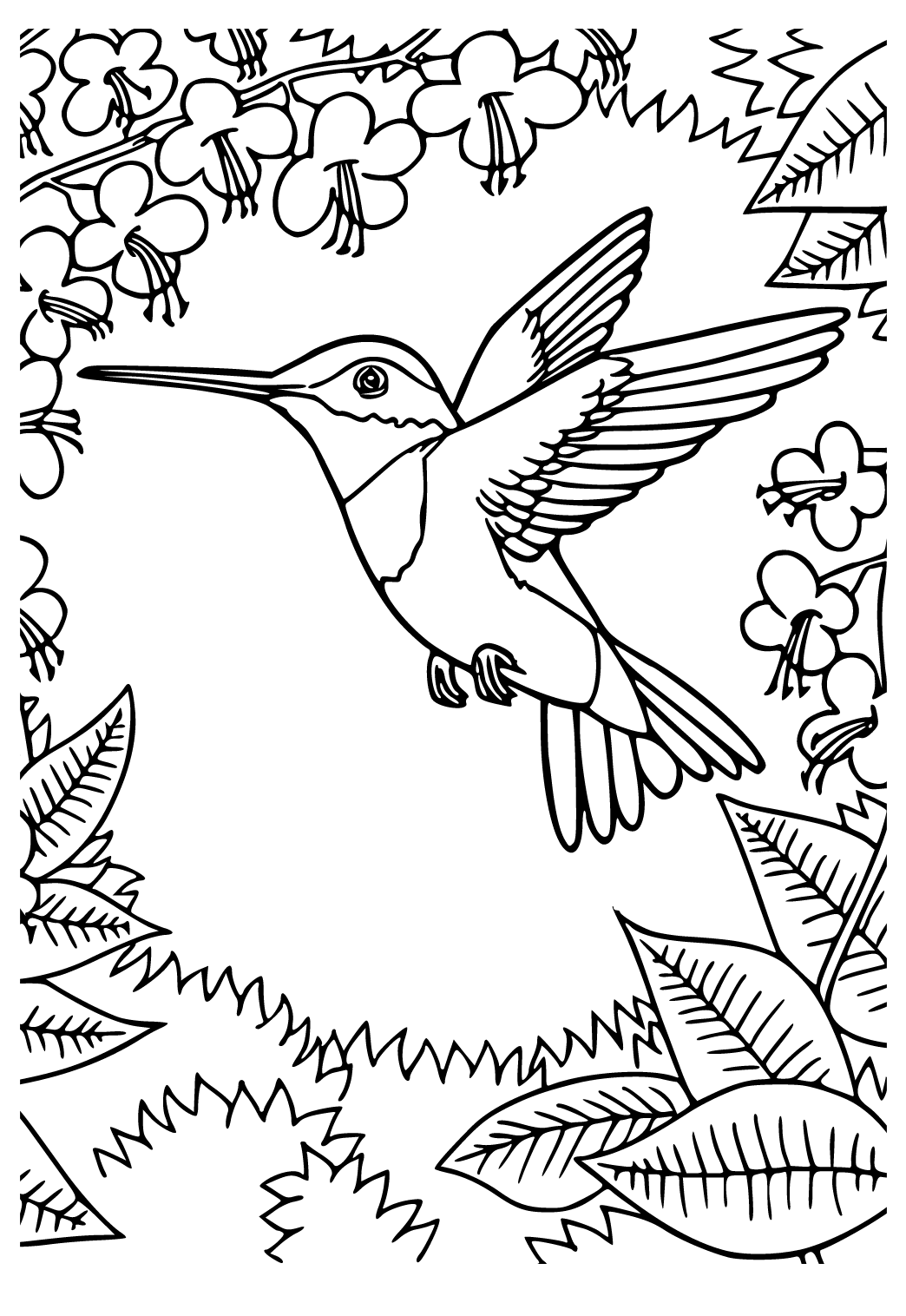 Free Printable Hummingbird Flight Coloring Page for Adults and Kids