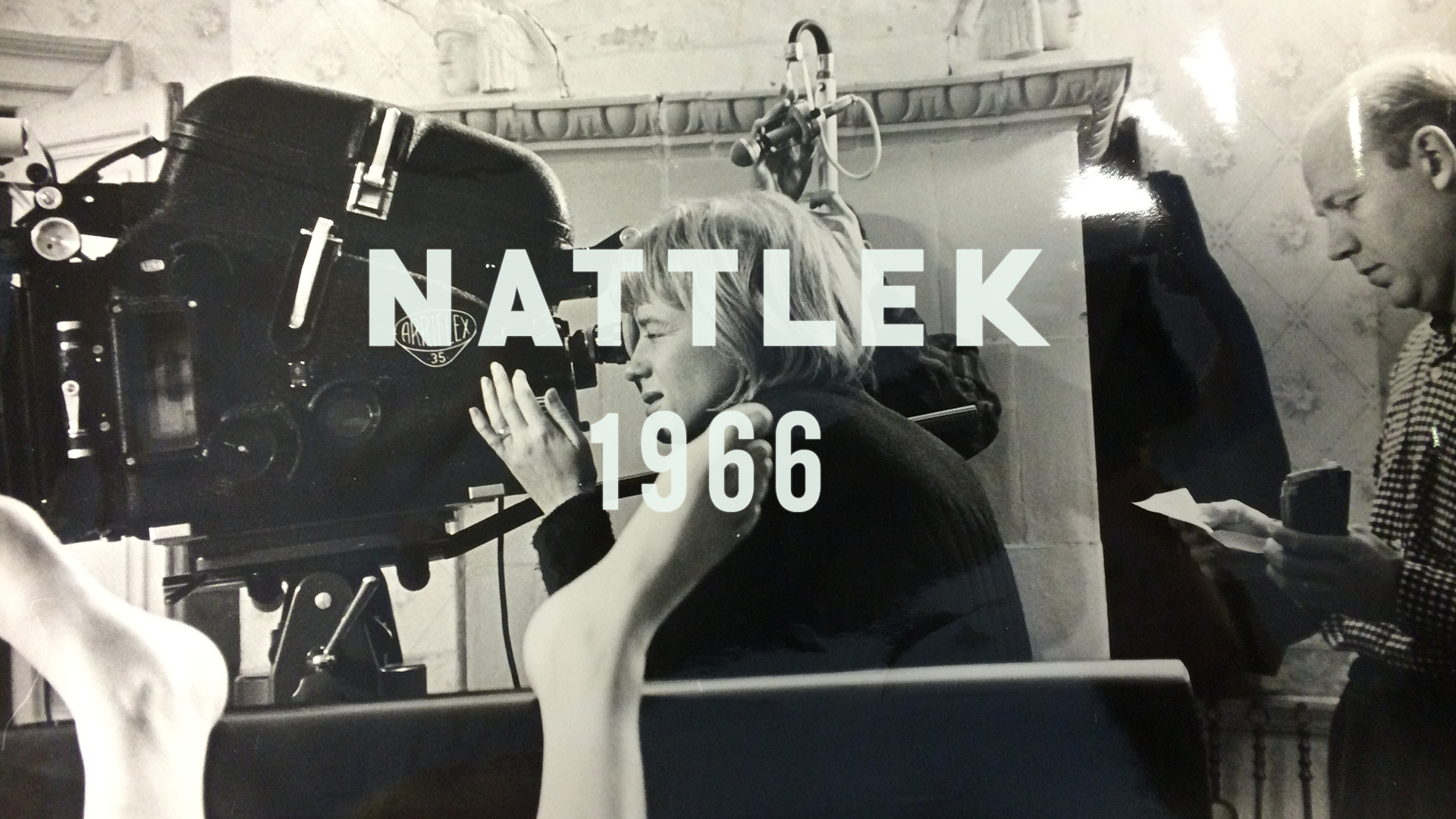 Regissören – en film om Mai Zetterling