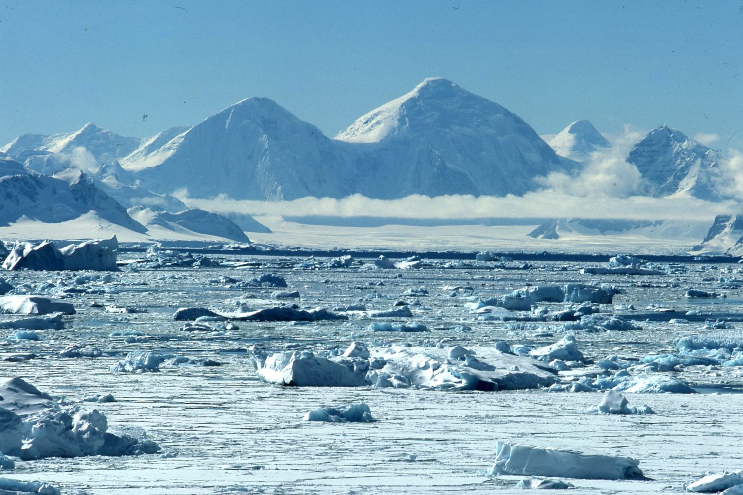The Antarctic Peninsula Marguerite Bay Photographs taken by Author