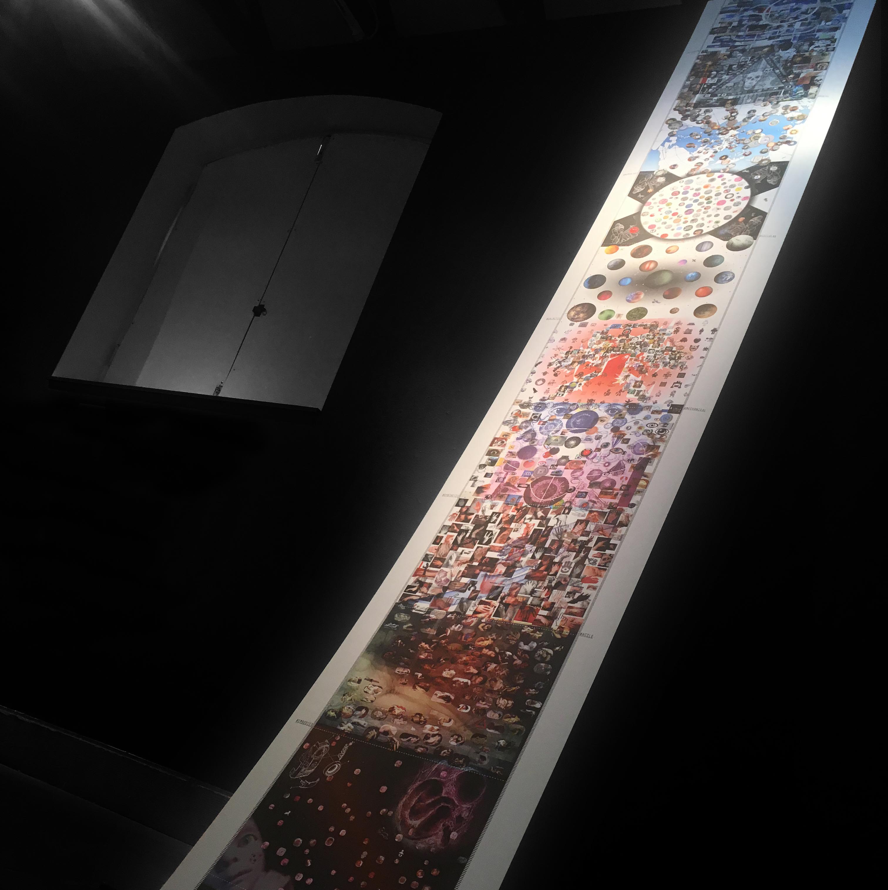 Simage installations / Petaluma Arts Center McShane Adigard Design, MAD