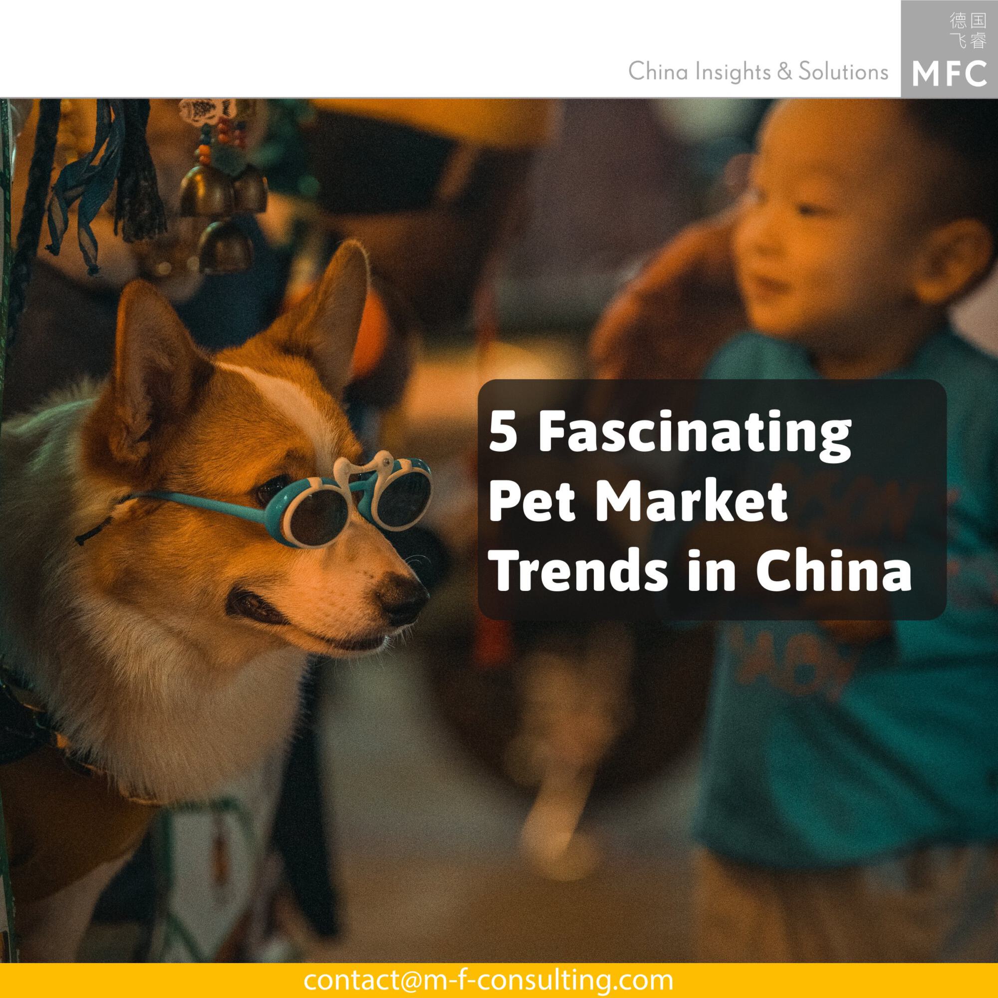 China's Growing Pet Industry MFC China Insights and Solutions