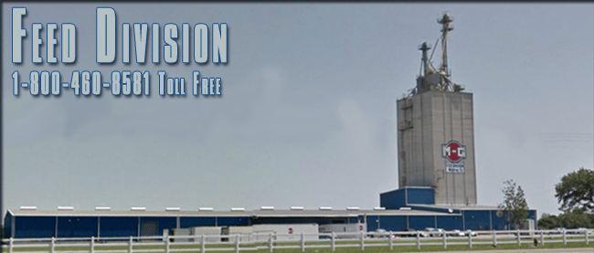 MG, Inc. Animals (Pictures)