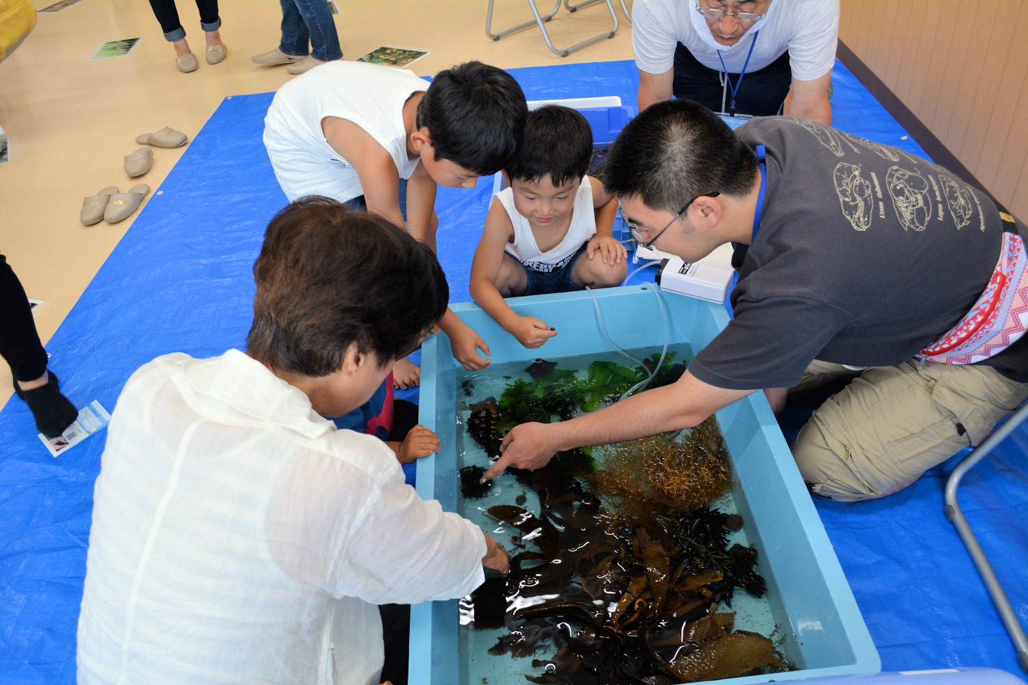第8回 南三陸子ども自然史ワークショップ 2018 in 戸倉公民館 南三陸なう