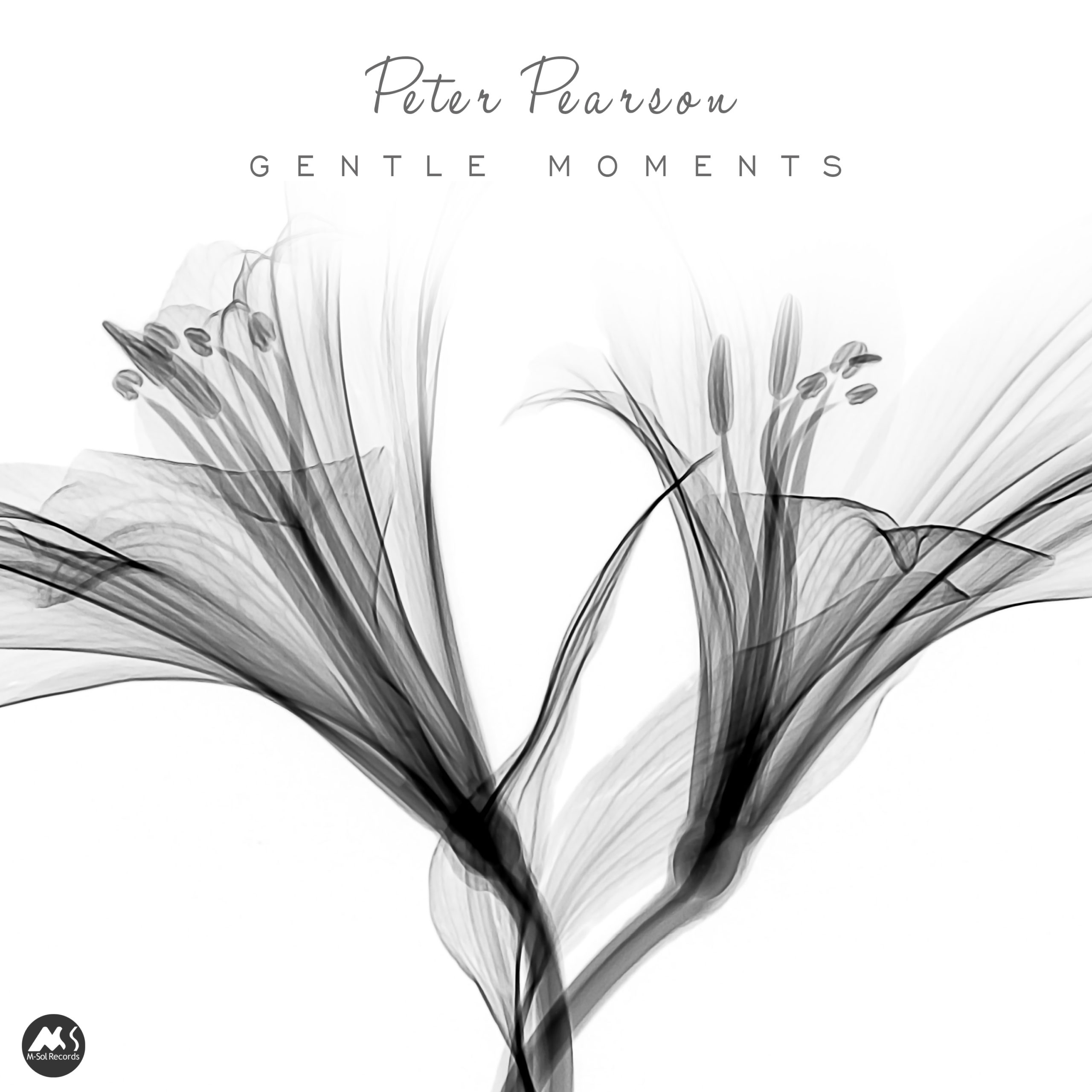 Peter Pearson Gentle Moments
