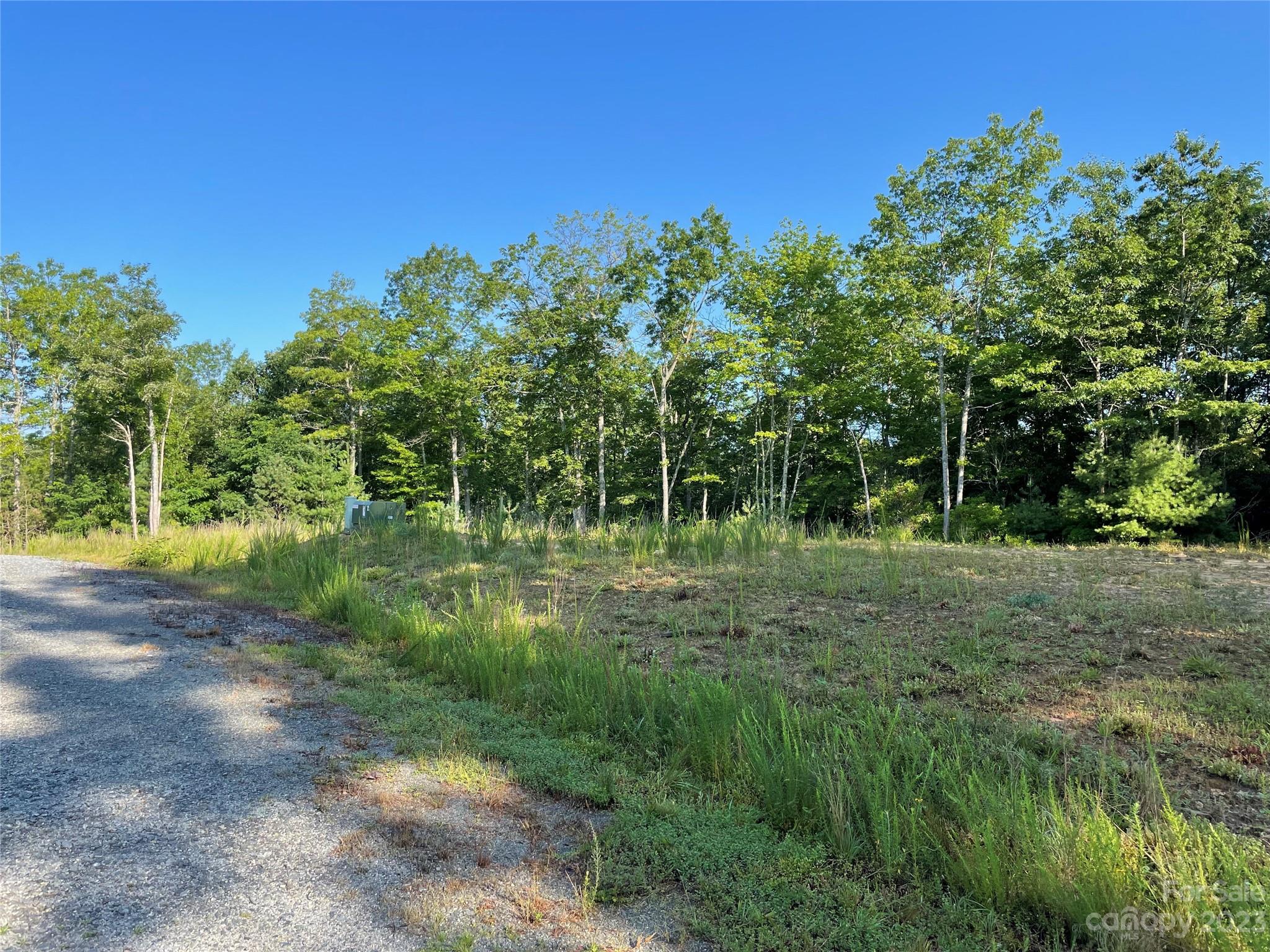 Tbd Caitlin Raney Way 10R, Dunns Rock, NC 28712 MLS 4053959