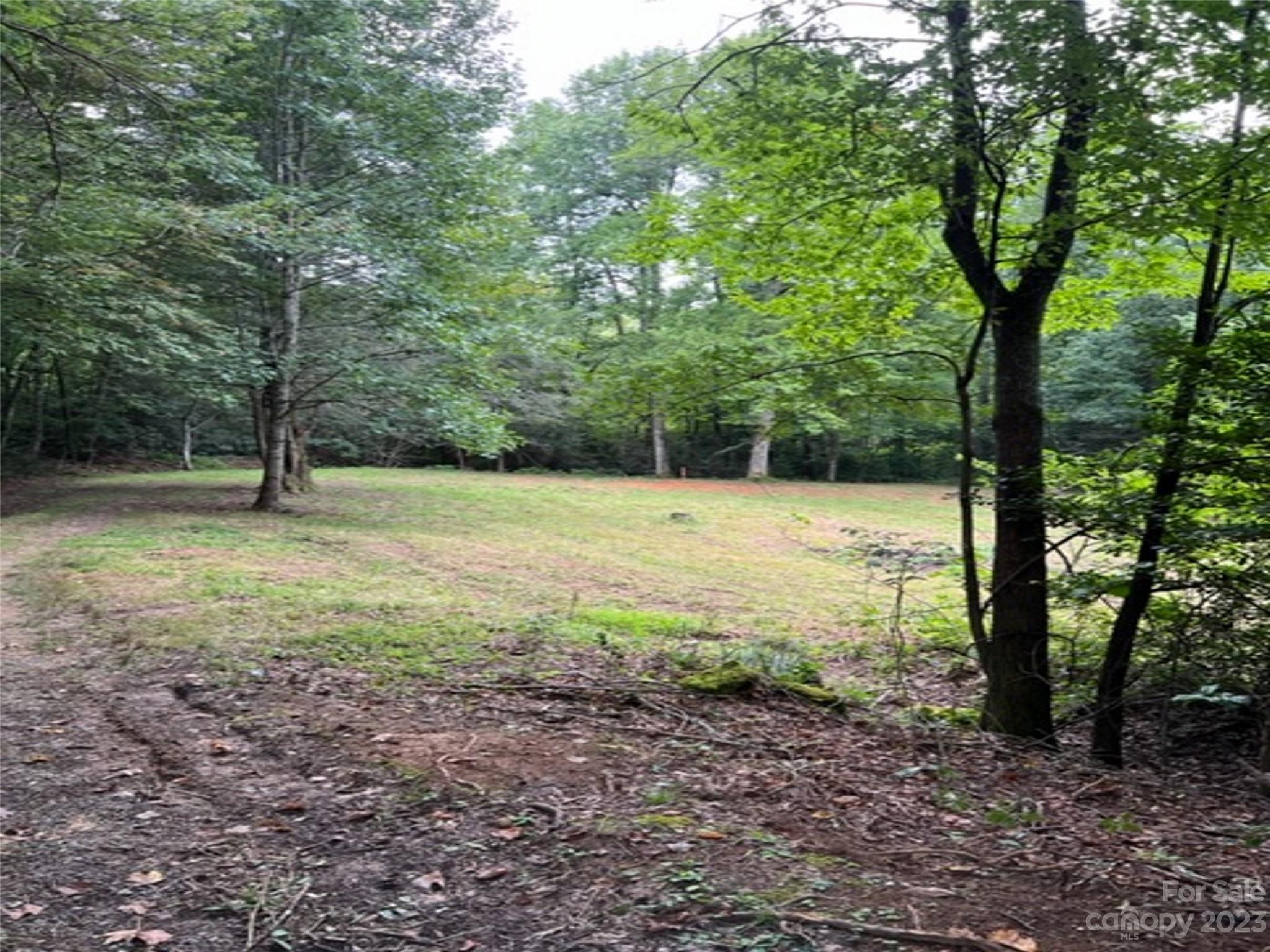 1808 Solomon Jones Rd, Cedar Mountain, NC 28718 MLS 4063209