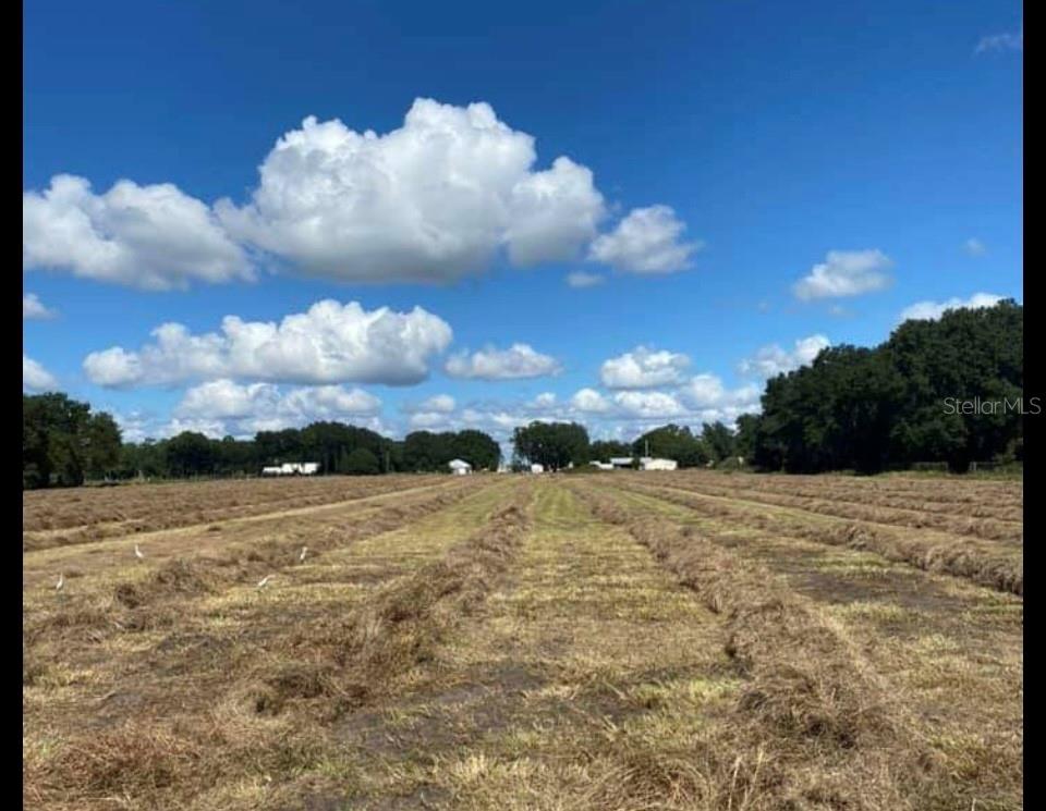 2245 Britt Rd, Lakeland, FL 33810 MLS L4938942 Coldwell Banker