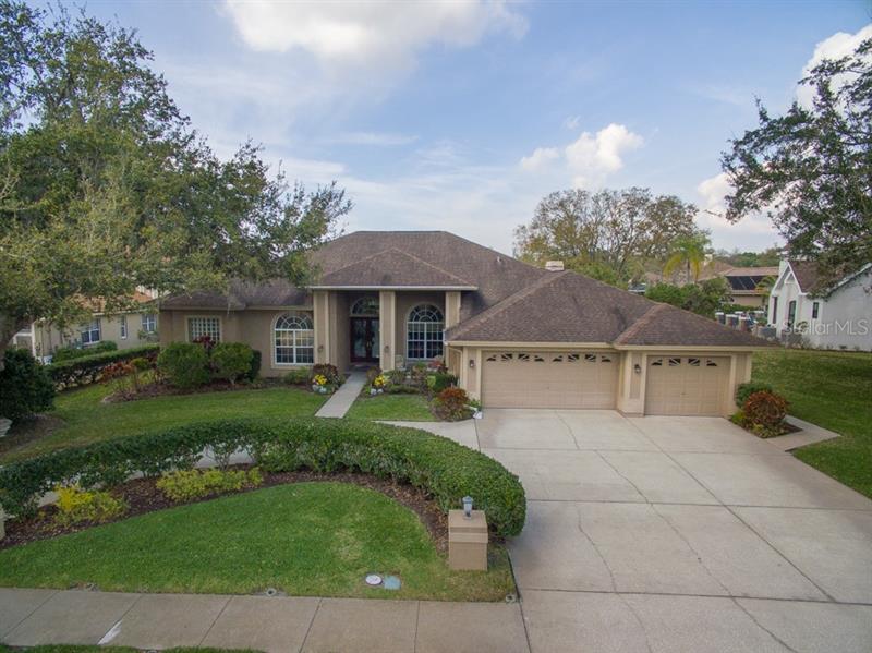 3763 Executive Dr, Palm Harbor, FL 34685 MLS T3430680 Coldwell Banker