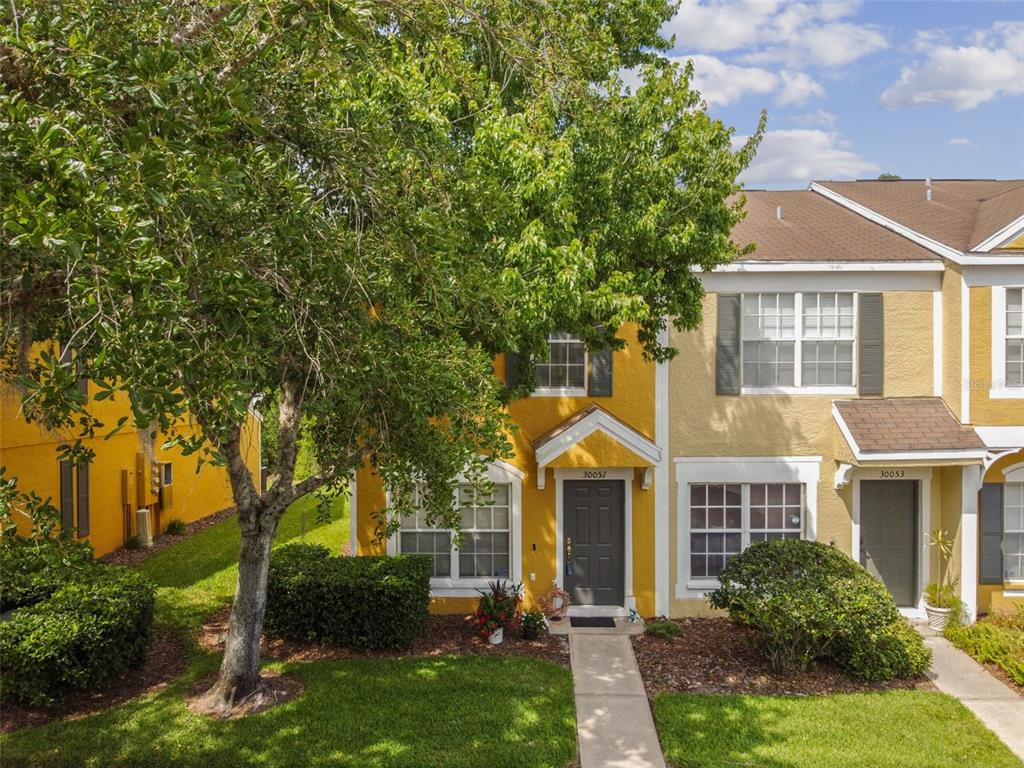 30051 Granda Hills Ct, Wesley Chapel, FL 33543 MLS T3438559