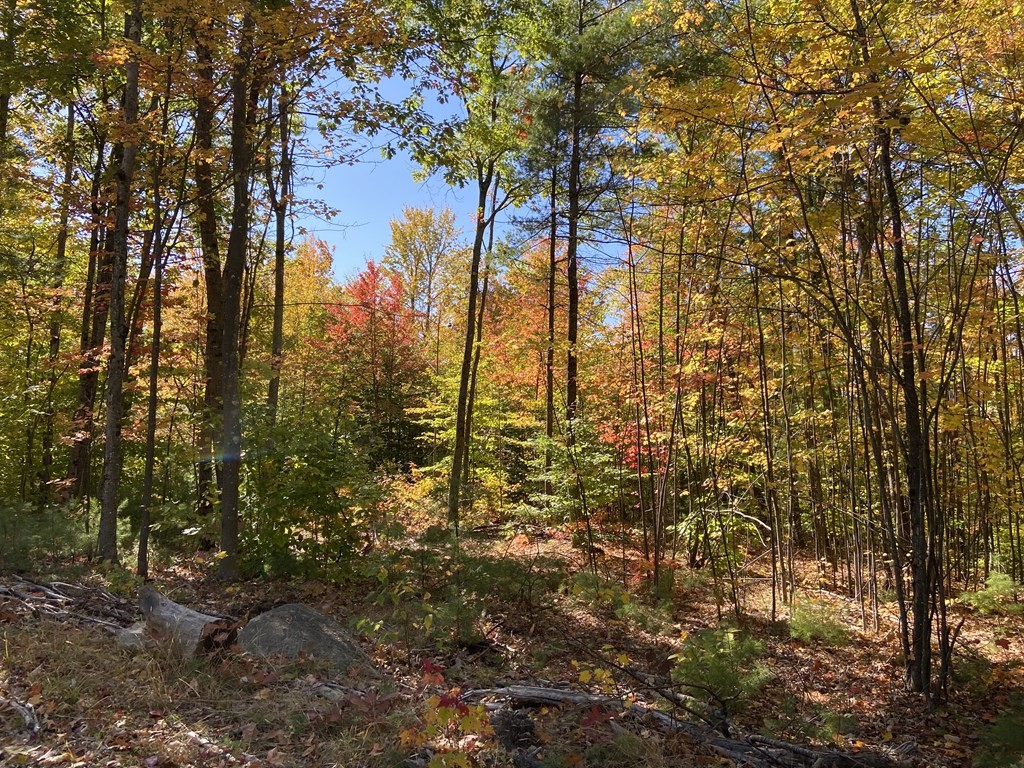 160 Plummer Hill Rd, Belmont, NH 03220 MLS 73072957 Coldwell Banker