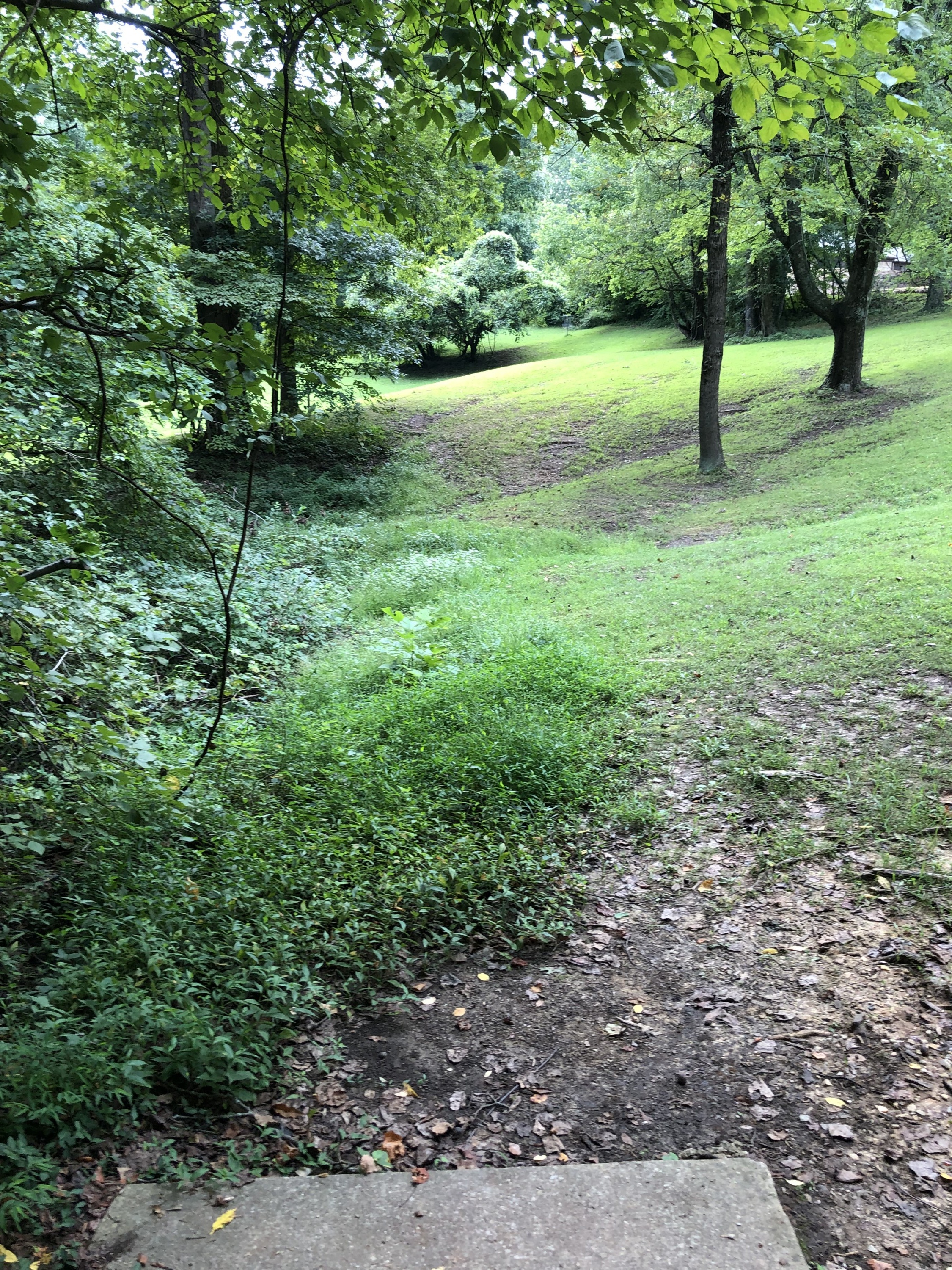 Hole 7 • Mesker Park (Evansville, IN) Disc Golf Courses Disc Golf Scene