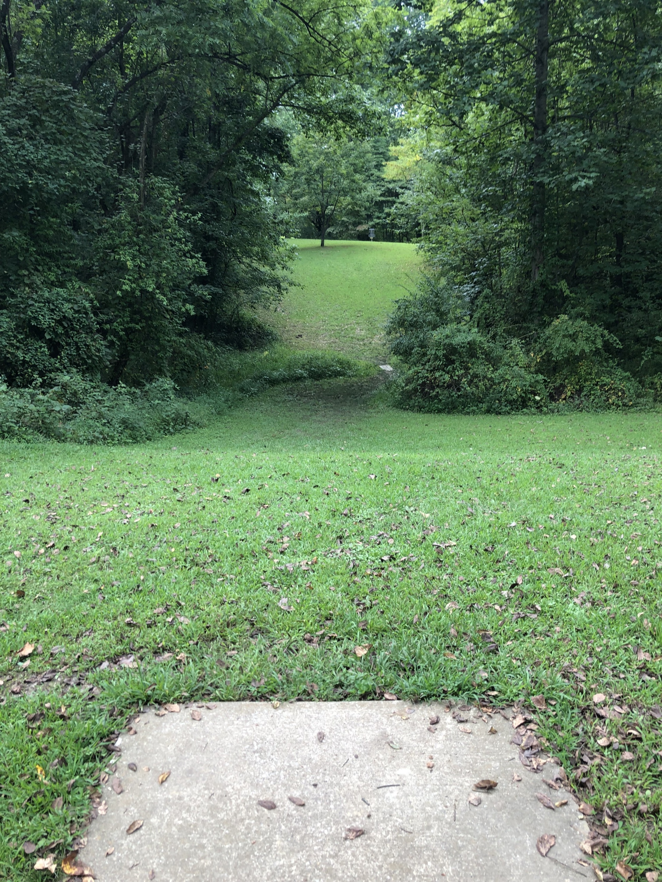 Hole 2 • Mesker Park (Evansville, IN) Disc Golf Courses Disc Golf Scene