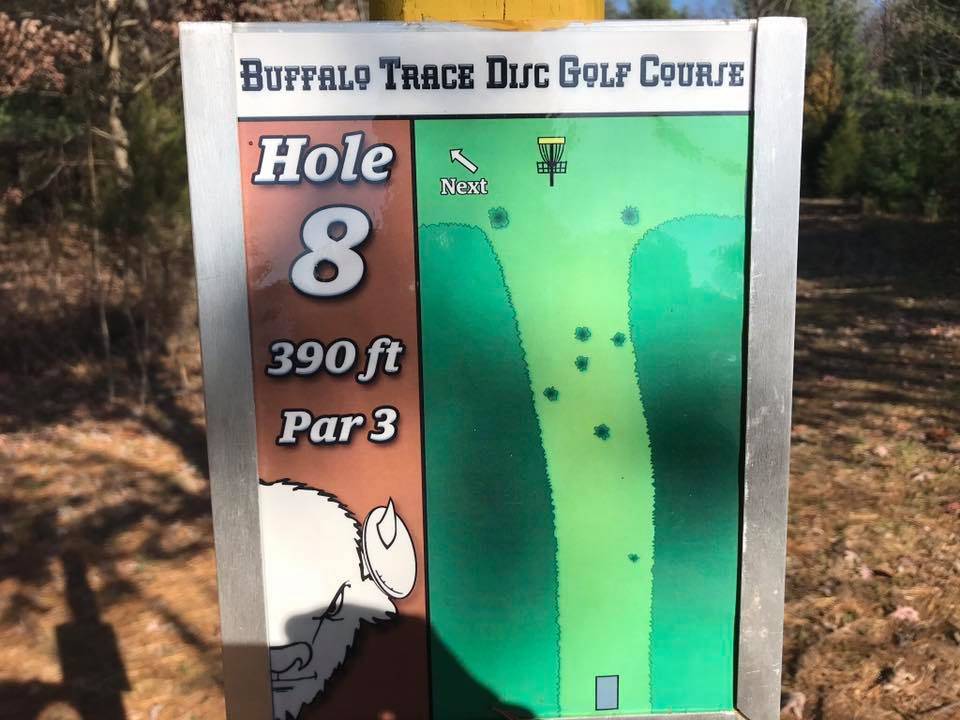 Hole 8 • Buffalo Trace Park (Palmyra, IN) Disc Golf Courses Disc Golf Scene