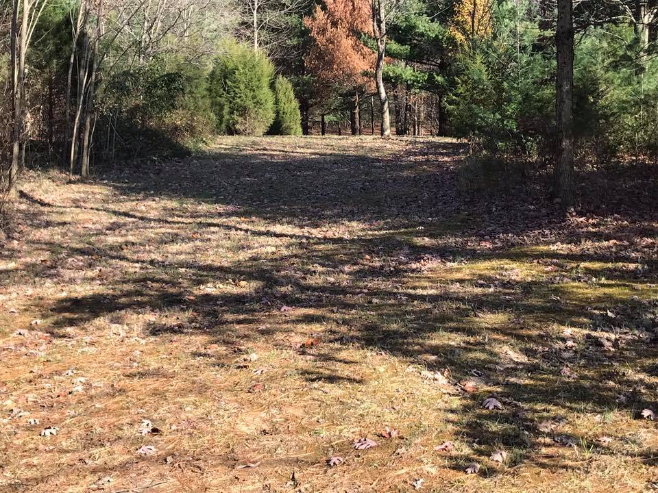 Hole 8 • Buffalo Trace Park (Palmyra, IN) Disc Golf Courses Disc Golf Scene