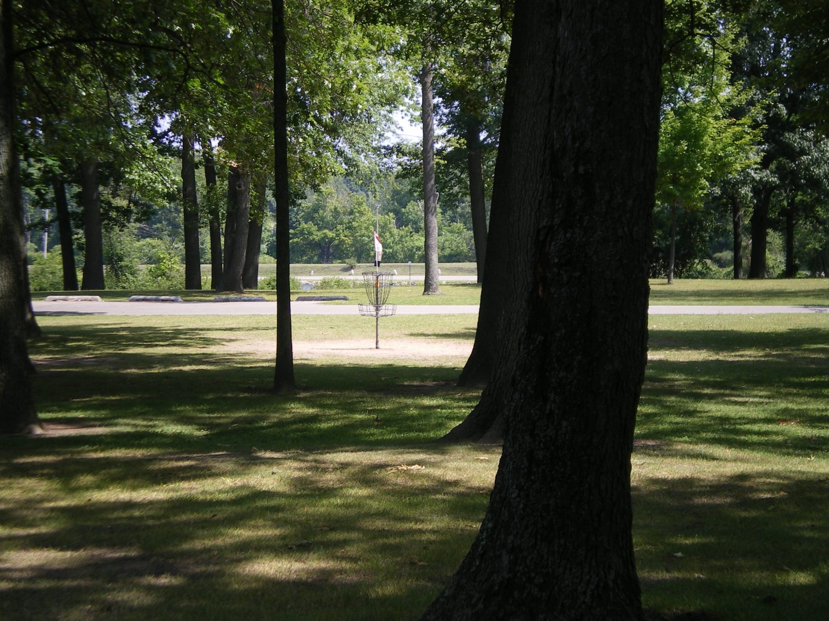 Hole 9 • Baw Beese Lake / Owen Park (Hillsdale, MI) Disc Golf Courses