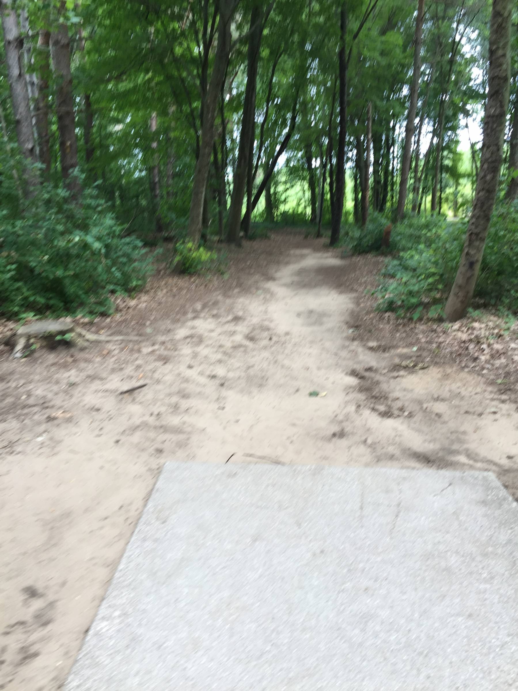 Hole 1 • Winstrom Preserve (Holland, MI) Disc Golf Courses Disc