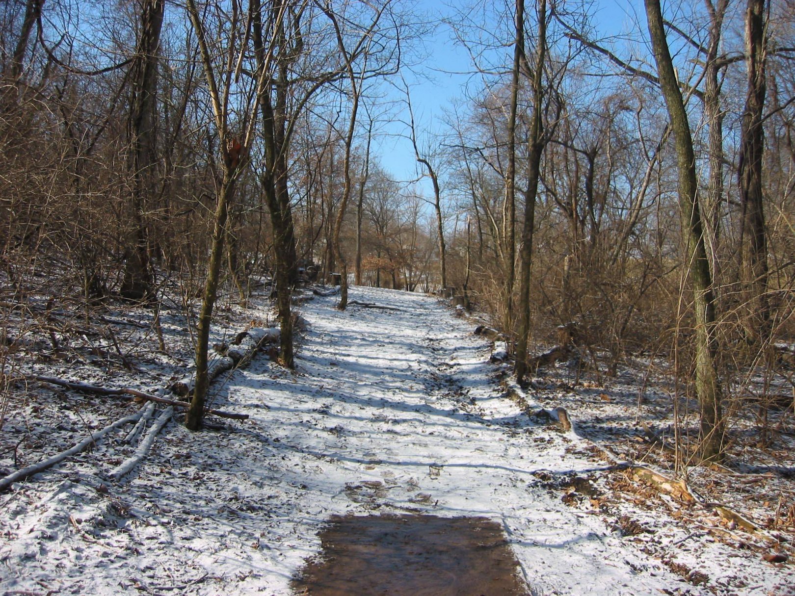 Hole 8 • Endicott Park (St. Louis, MO) Disc Golf Courses Disc Golf