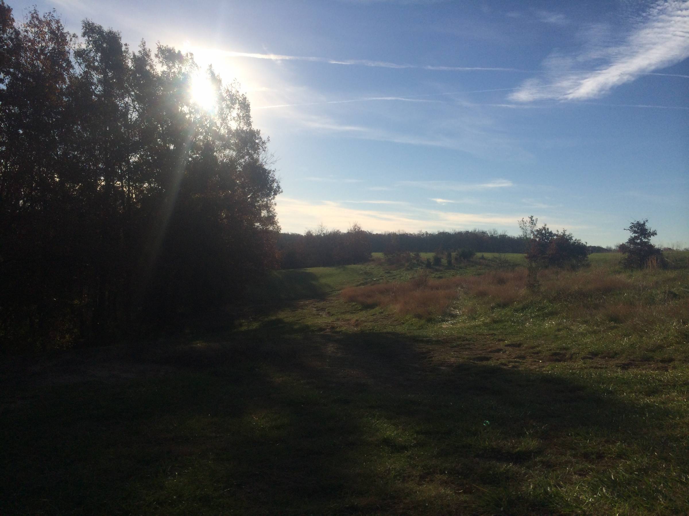 Hole 18 • Quail Ridge (Wentzville, MO) Disc Golf Courses Disc Golf
