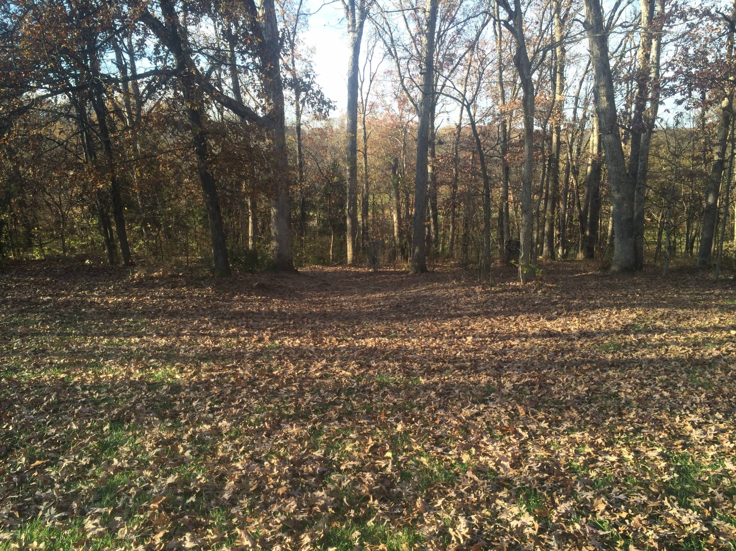 Hole 3 • Quail Ridge (Wentzville, MO) Disc Golf Courses Disc Golf Scene