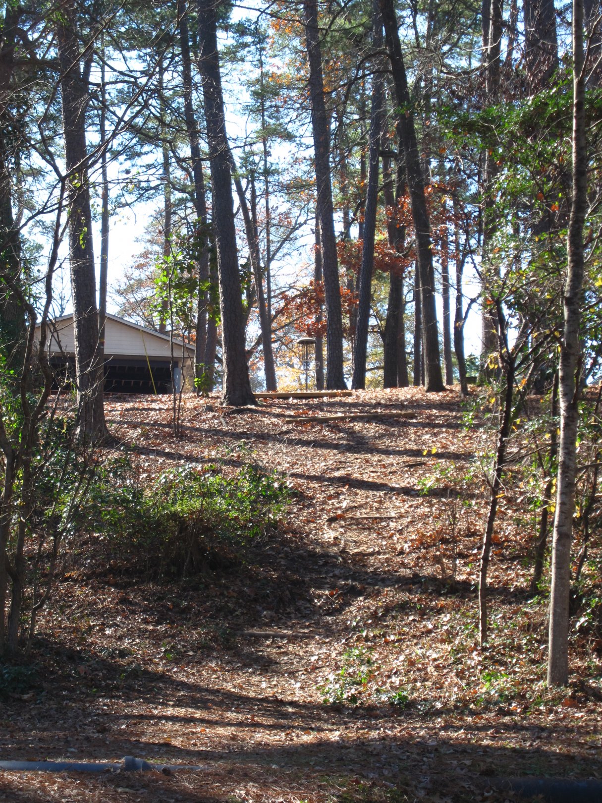 Hole 11 • Earlewood Park (Columbia, SC) Disc Golf Courses Disc Golf