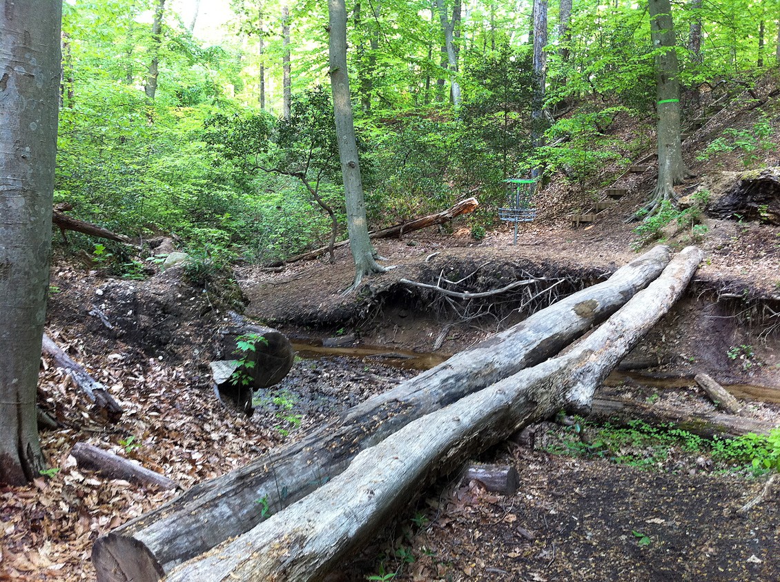 Hole 14 • Pratt Park (Fredericksburg, VA) Disc Golf Courses Disc