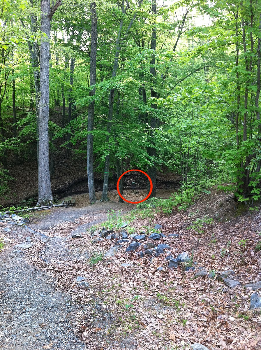 Hole 12 • Pratt Park (Fredericksburg, VA) Disc Golf Courses Disc