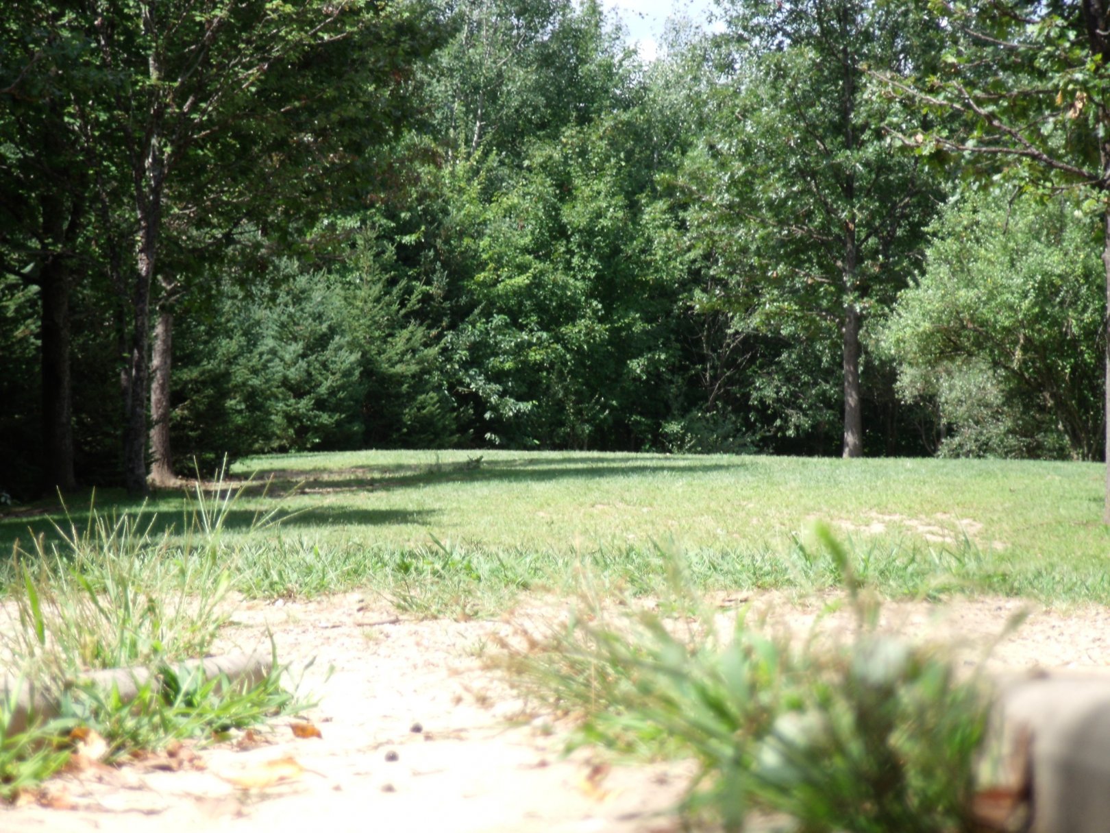 Hole 11 • Oshtemo Township Park (Kalamazoo, MI) Disc