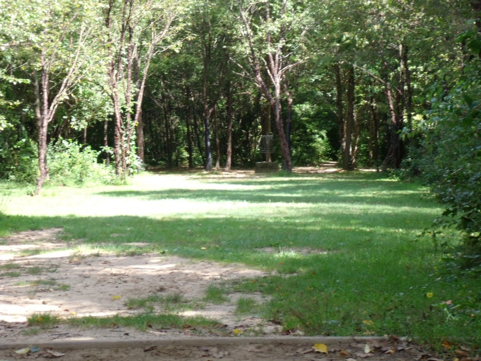 Hole 8 • Oshtemo Township Park (Kalamazoo, MI) Disc Golf