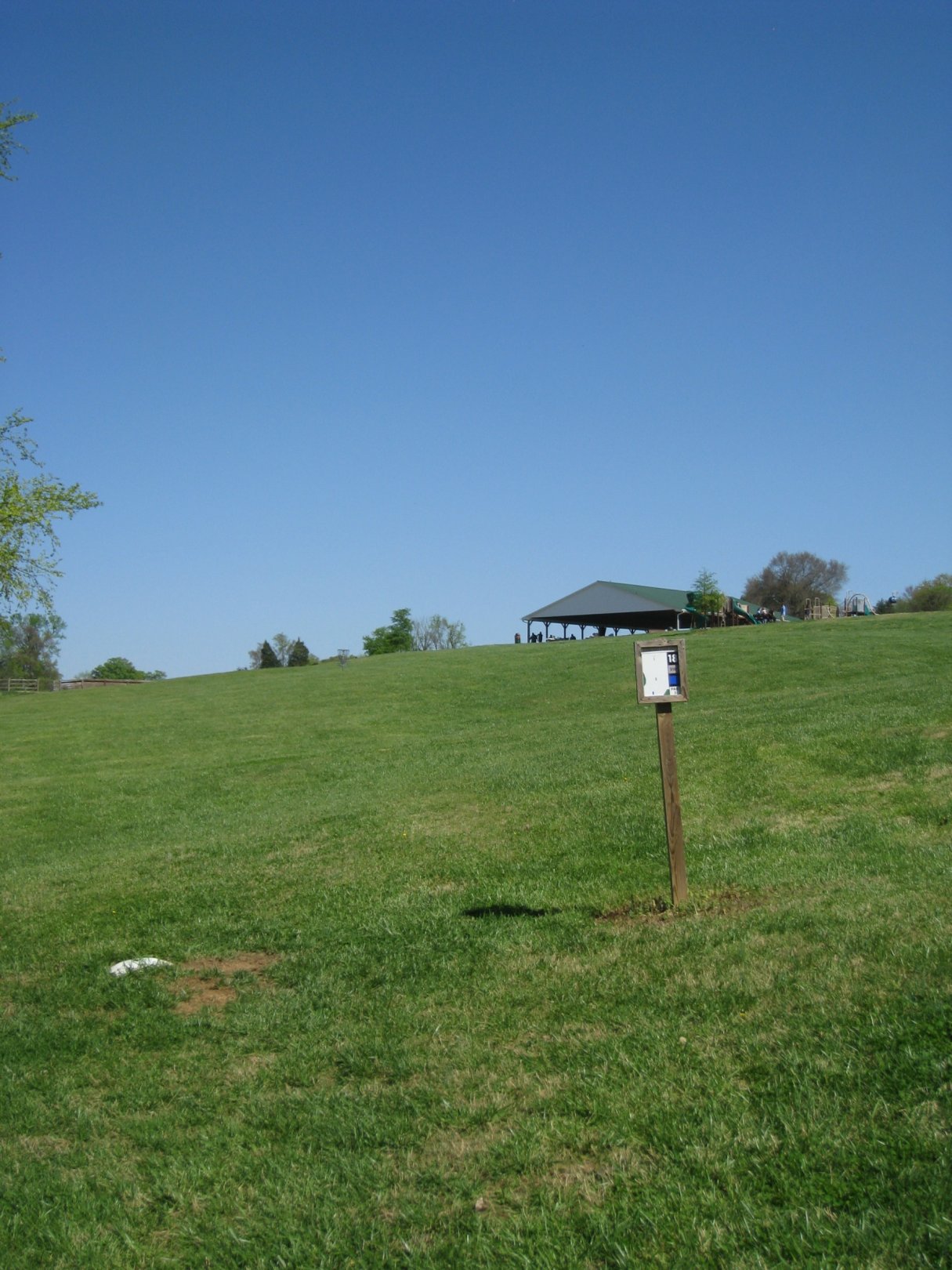 Hole 18 • Edmunds Park (South Boston, VA) Disc Golf