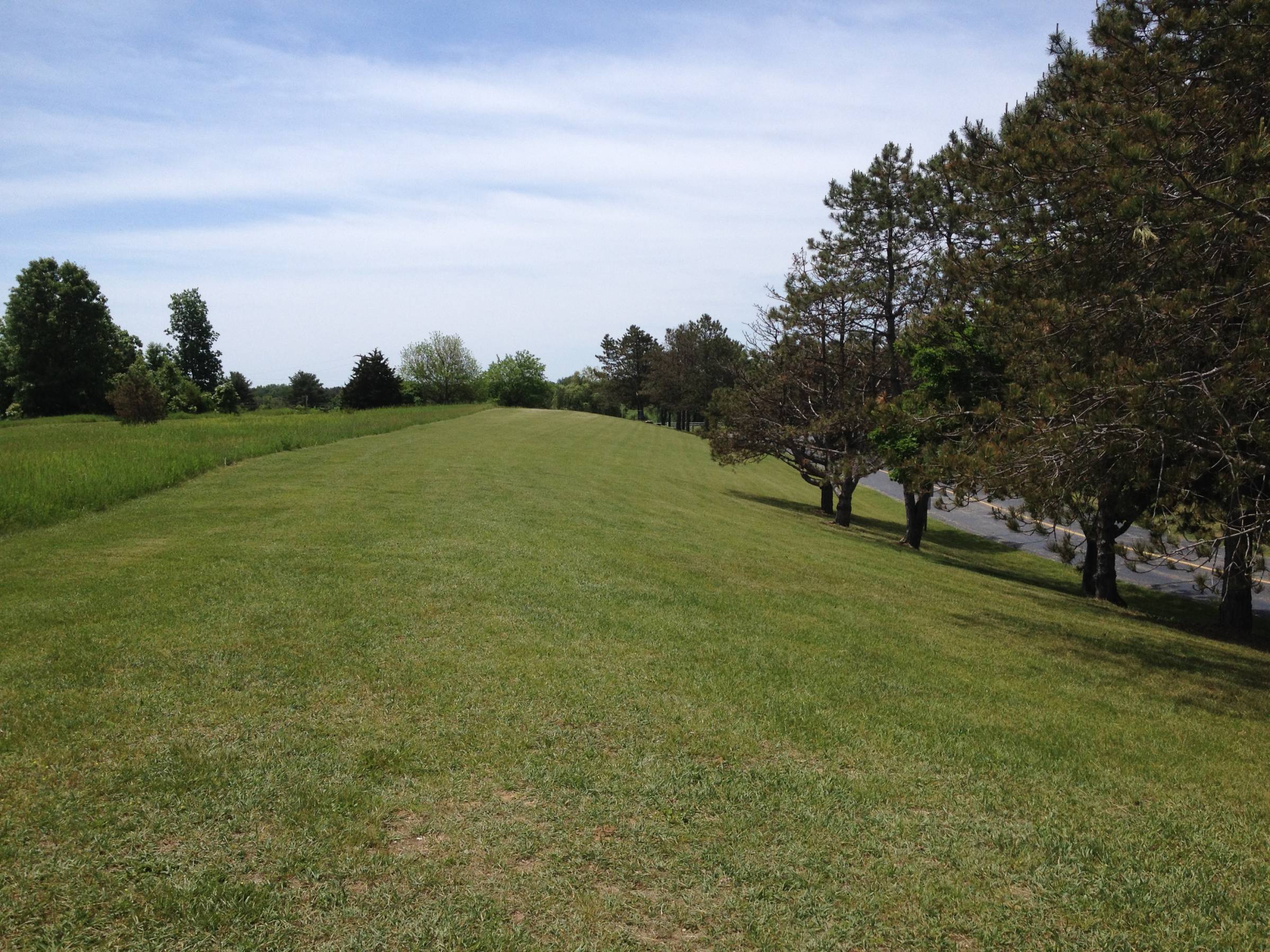 Hole 12 • Robert Morris (Kalamazoo, MI) Disc Golf