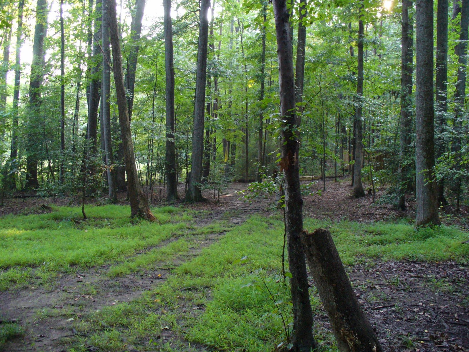Hole 2 • Main course / The Blockhouse Disc Golf Country Club