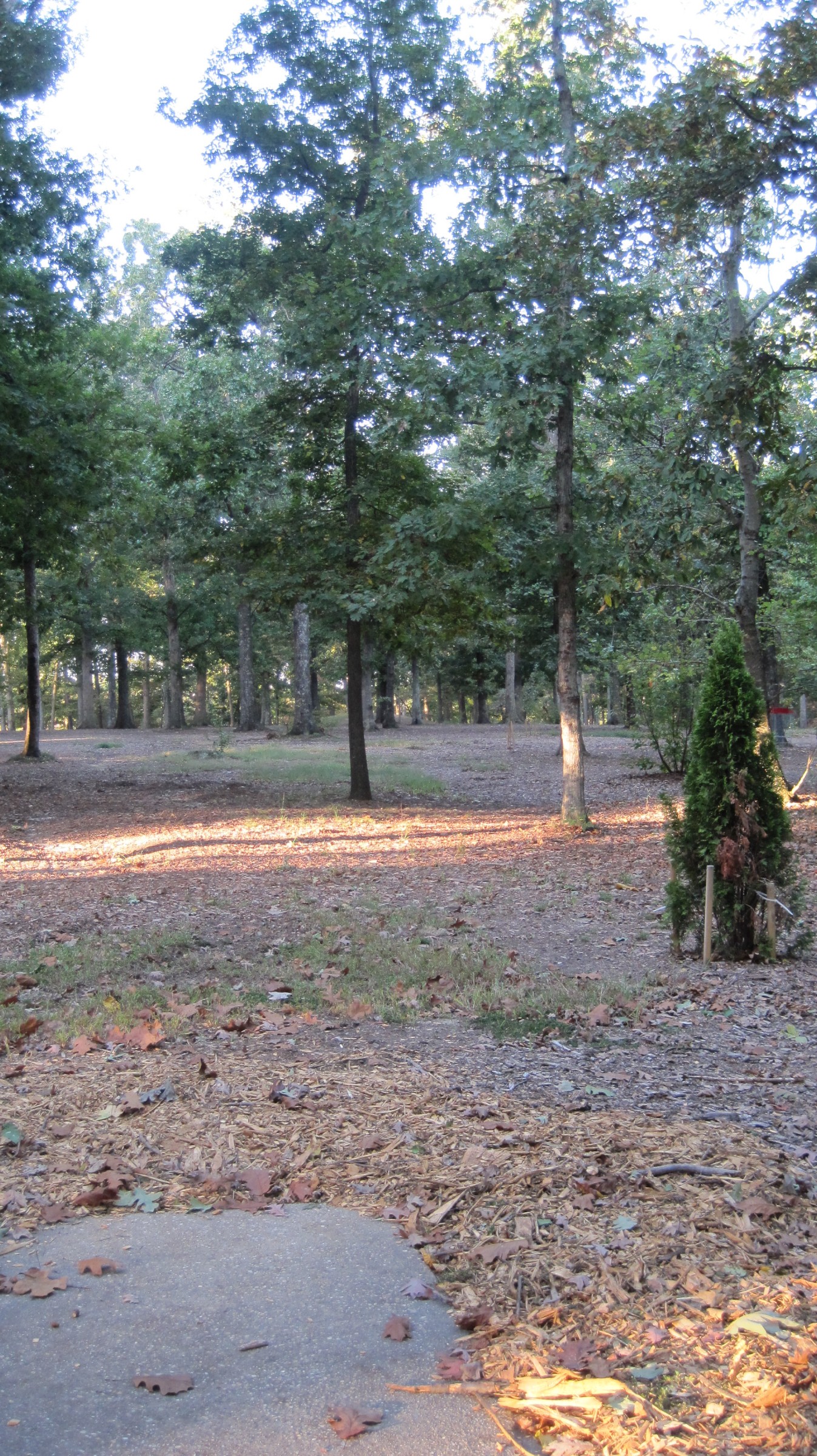 Hole 2 • Bayville Park (Virginia Beach, VA) Disc Golf Courses Disc