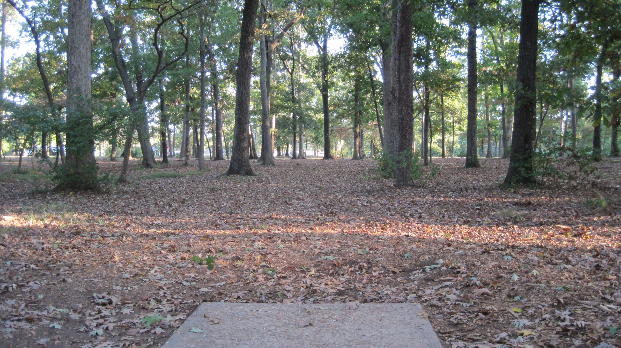 Hole 5 • Bayville Park (Virginia Beach, VA) Disc Golf Courses Disc