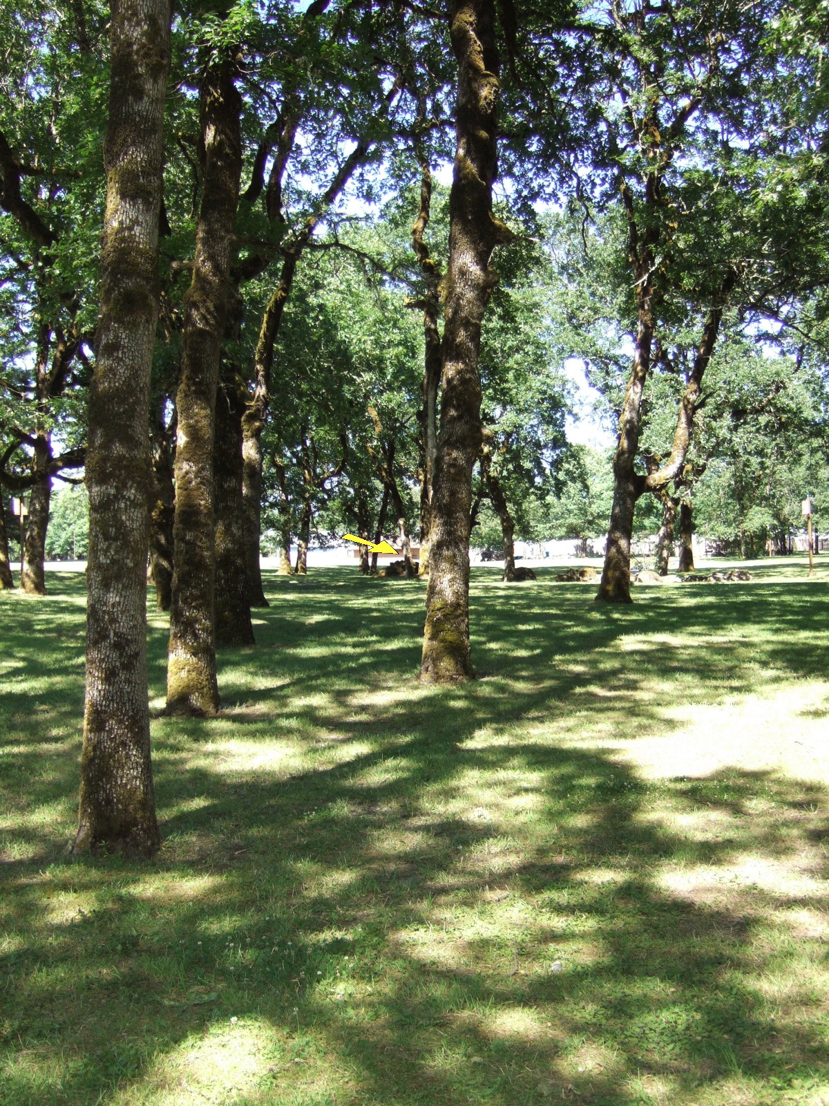 Hole 16 • North Bonneville DGC (North Bonneville, WA) Disc Golf