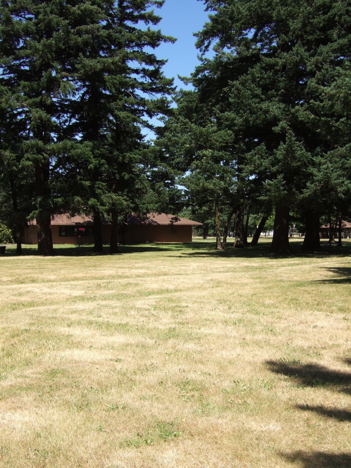 Hole 18 • North Bonneville DGC (North Bonneville, WA) Disc Golf