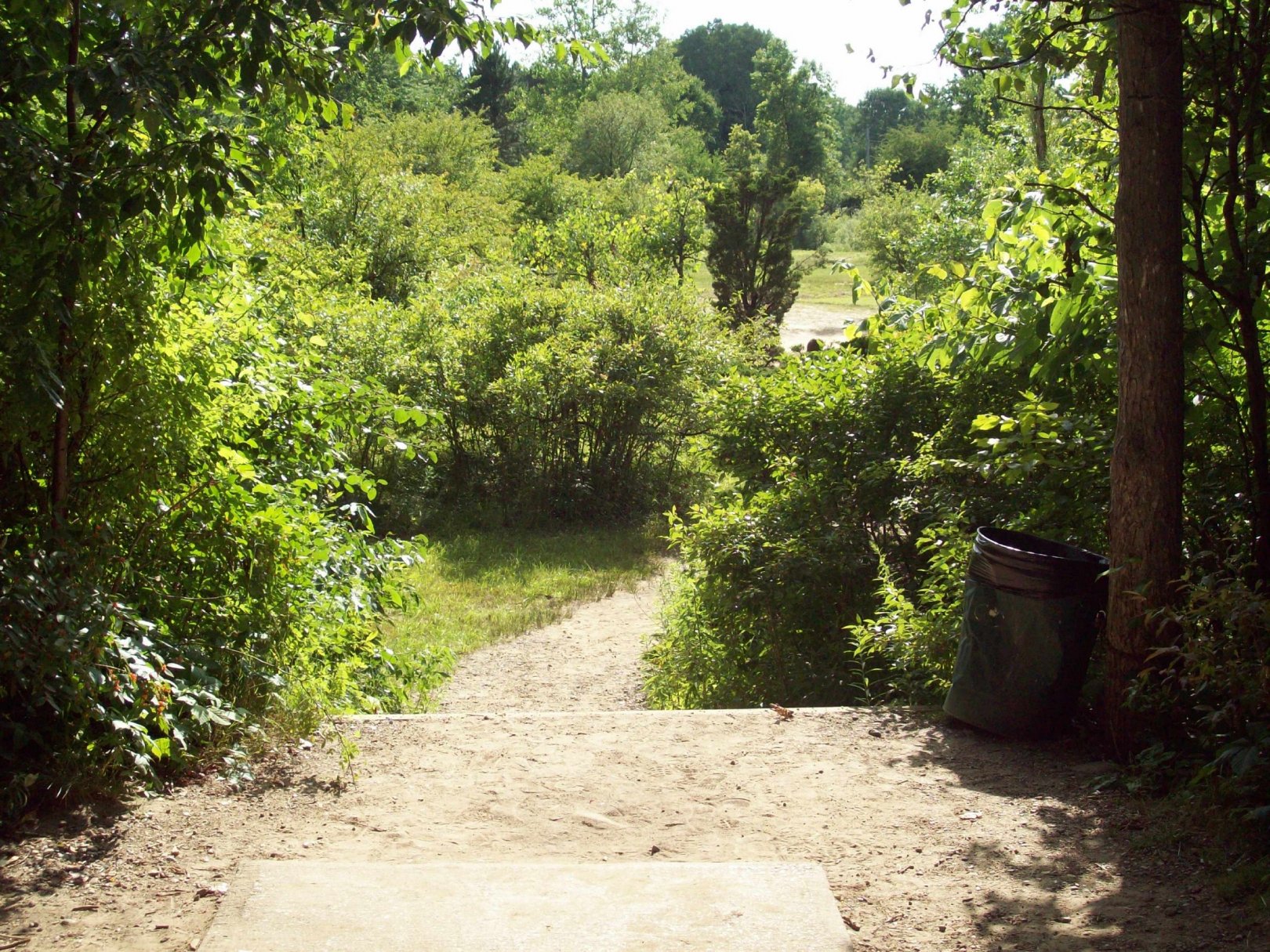 Hole 14 • Main course / Grand Woods Park (Lansing, MI) Disc Golf