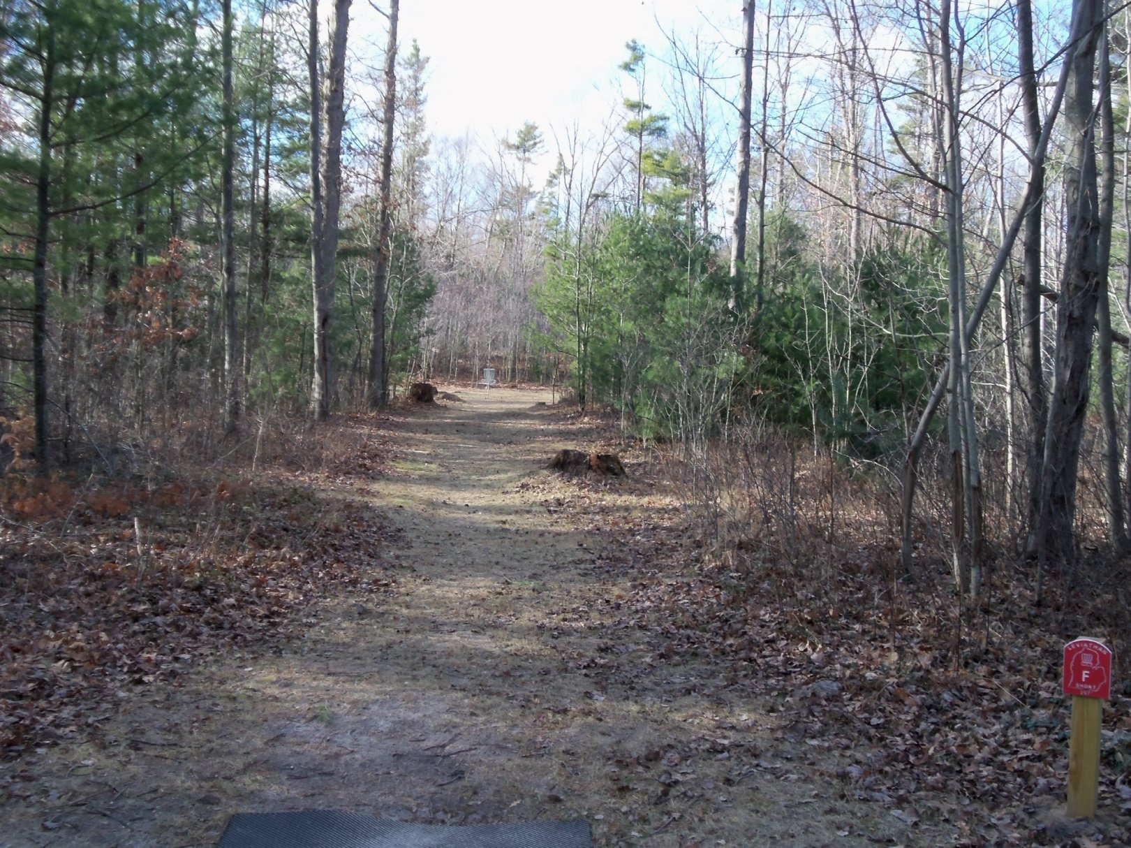 Hole F • Leviathan (Ludington, MI) Disc Golf Courses Disc Golf Scene