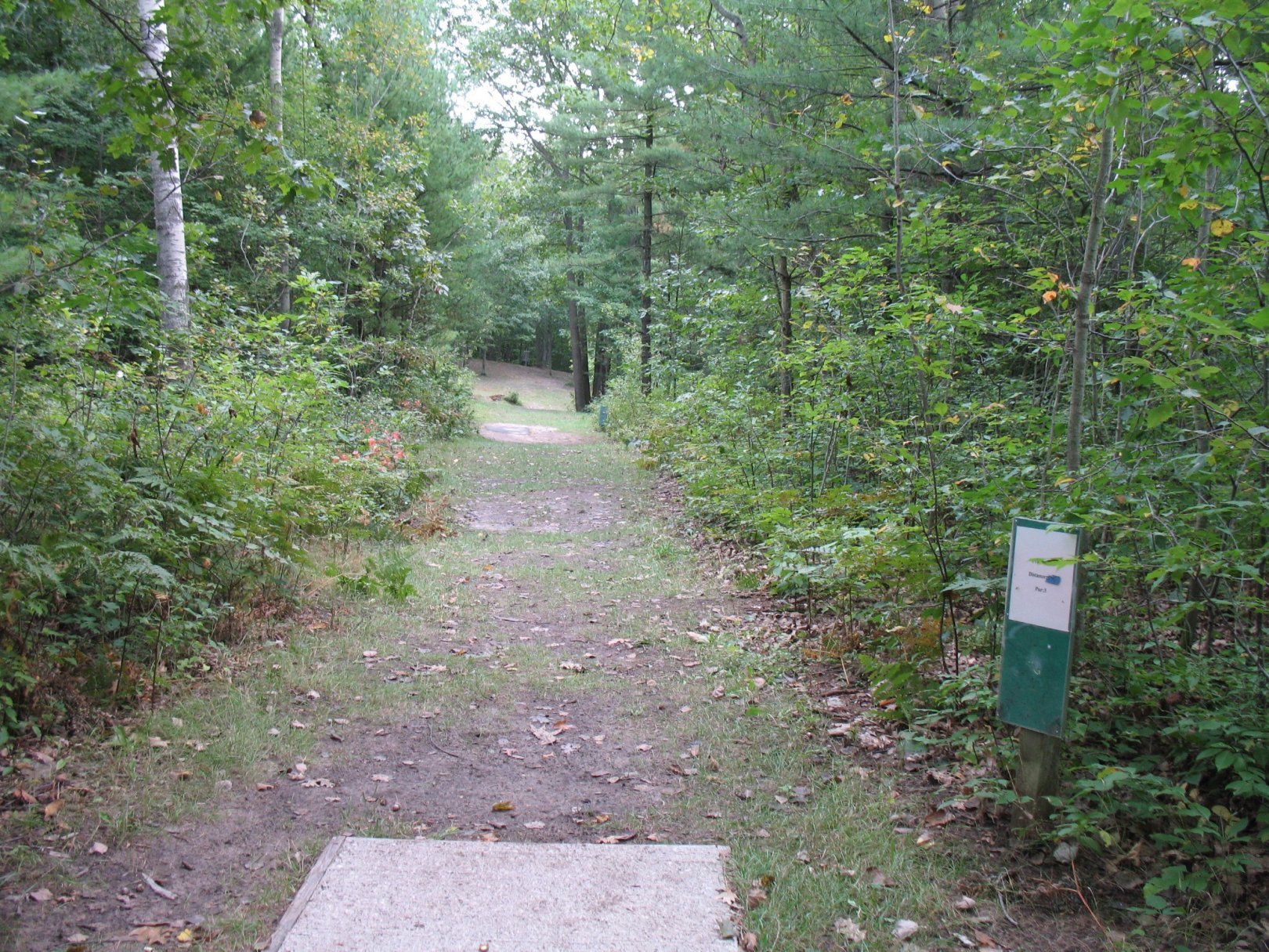 Hole 8 • Leviathan (Ludington, MI) Disc Golf Courses Disc Golf Scene