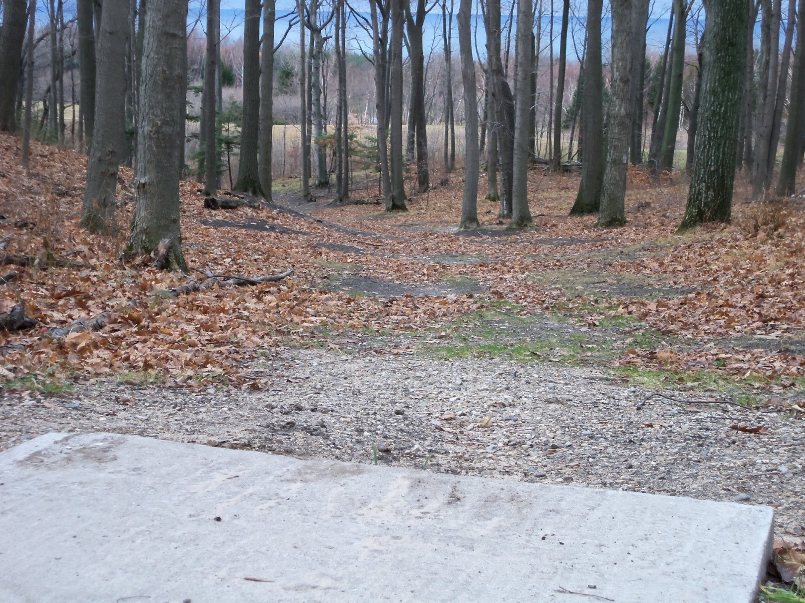 Hole 15 • Beauty / Mason County Park (Ludington, MI) Disc Golf