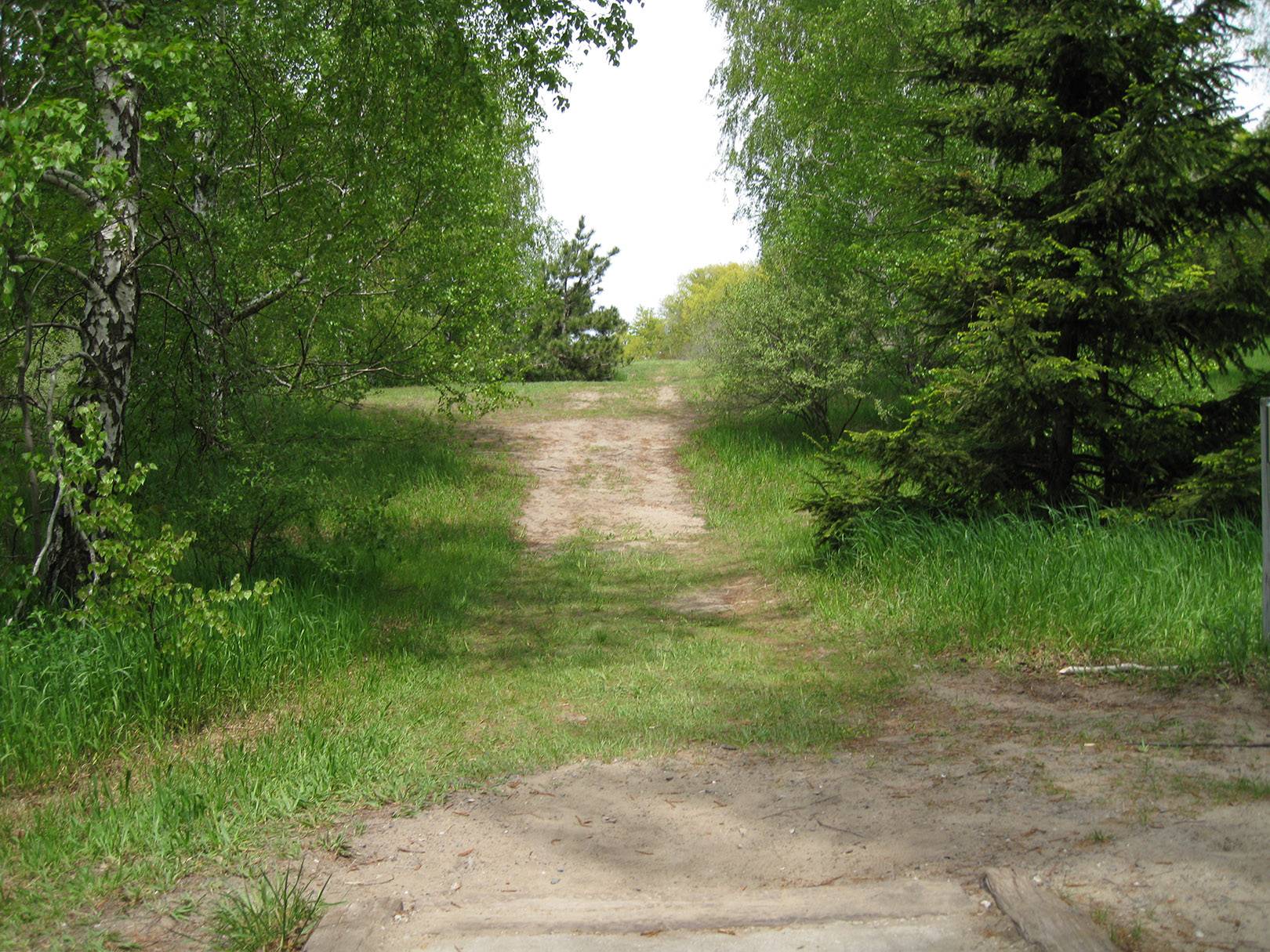 Hole 4 • Beauty / Mason County Park (Ludington, MI) Disc Golf Courses