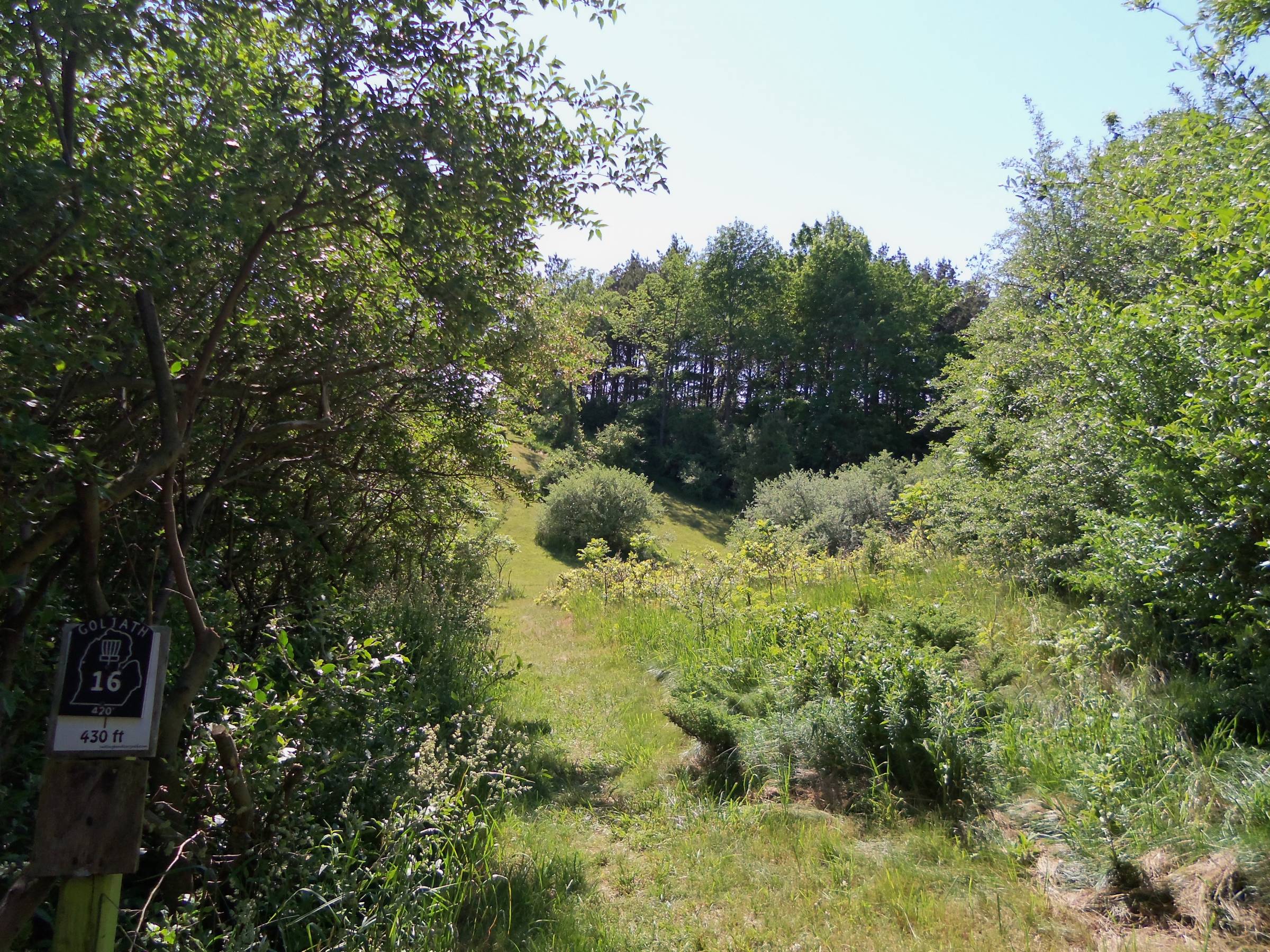 Hole 16 • Goliath / Mason County Park (Ludington, MI) Disc Golf