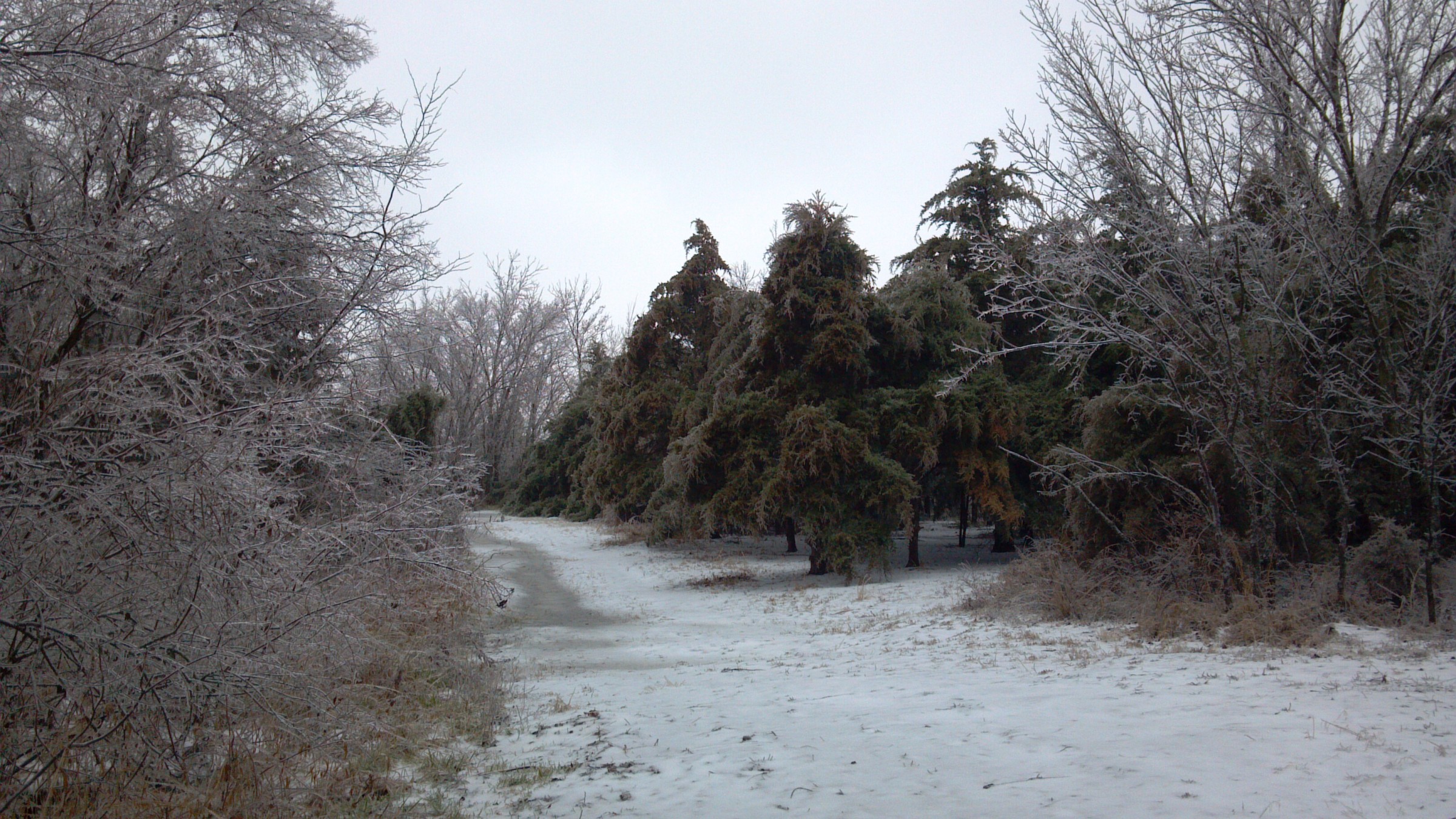 Hole 5 • Idle Hour Lake (Altamont, KS) Disc Golf Courses Disc Golf