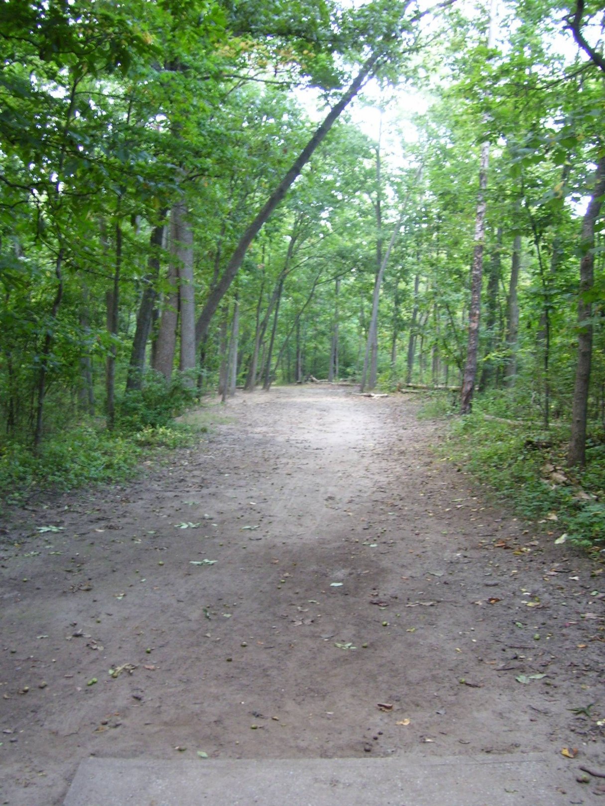 Hole 6 • Madeline Bertrand County Park (Niles, MI) Disc Golf Courses