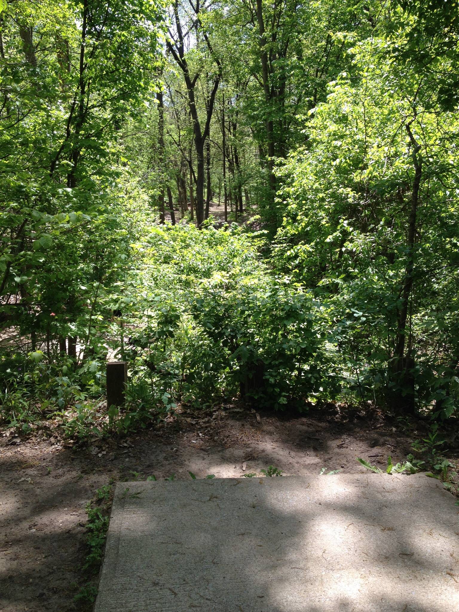 Hole 13 • Madeline Bertrand County Park (Niles, MI) Disc Golf Courses