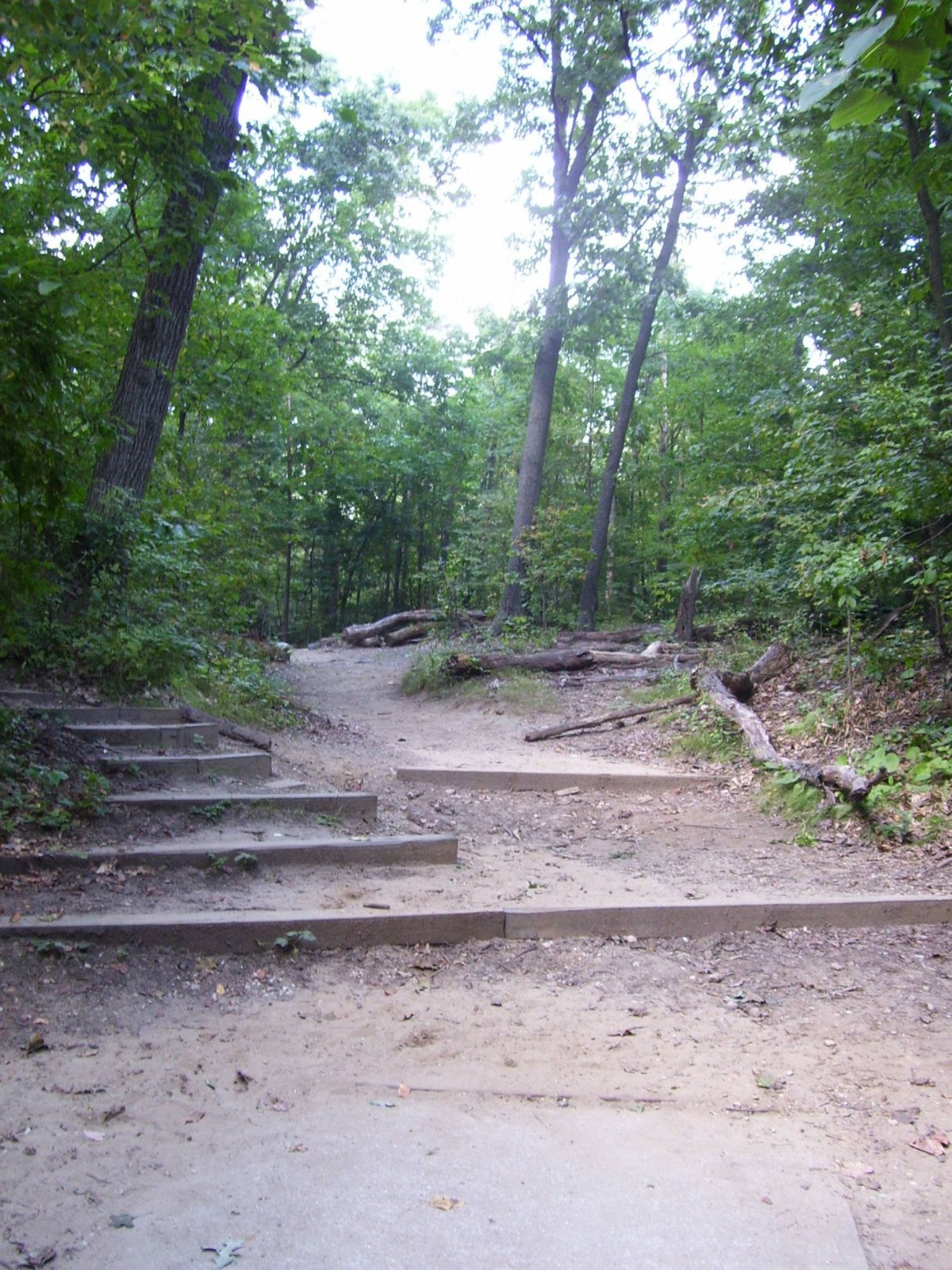 Hole 7 • Madeline Bertrand County Park (Niles, MI) Disc Golf Courses