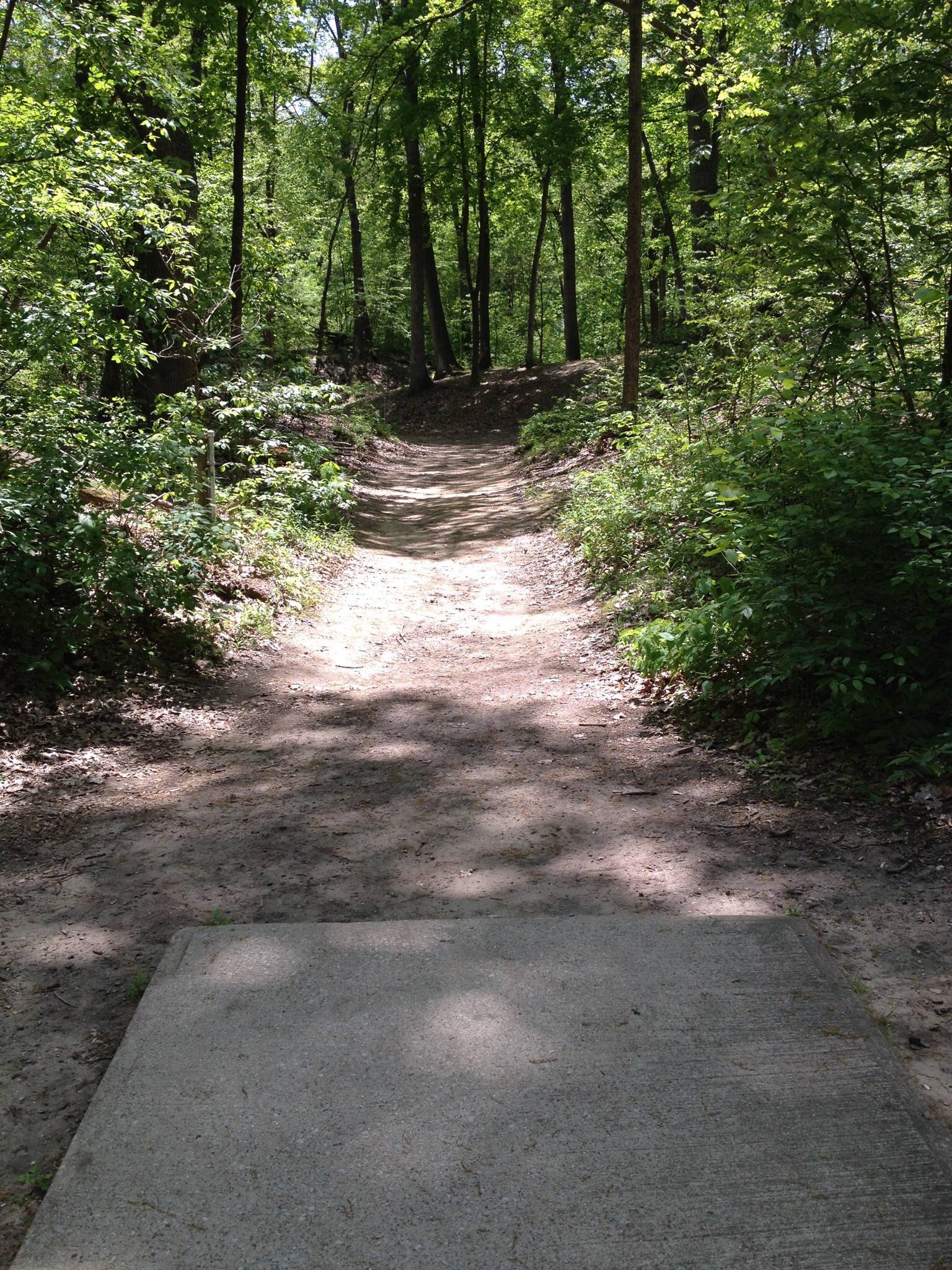 Hole 11 • Madeline Bertrand County Park (Niles, MI) Disc Golf Courses